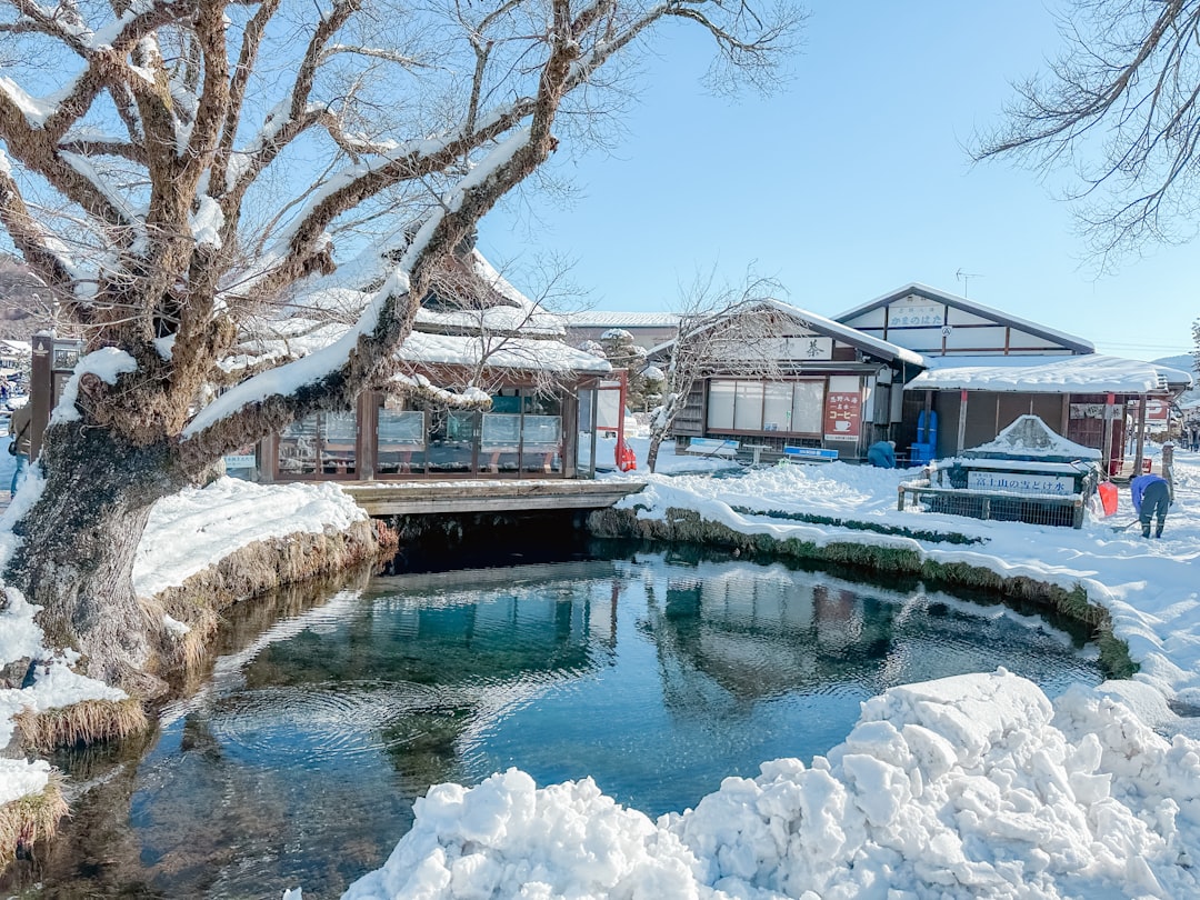 A small pond surrounded by snow covered trees,