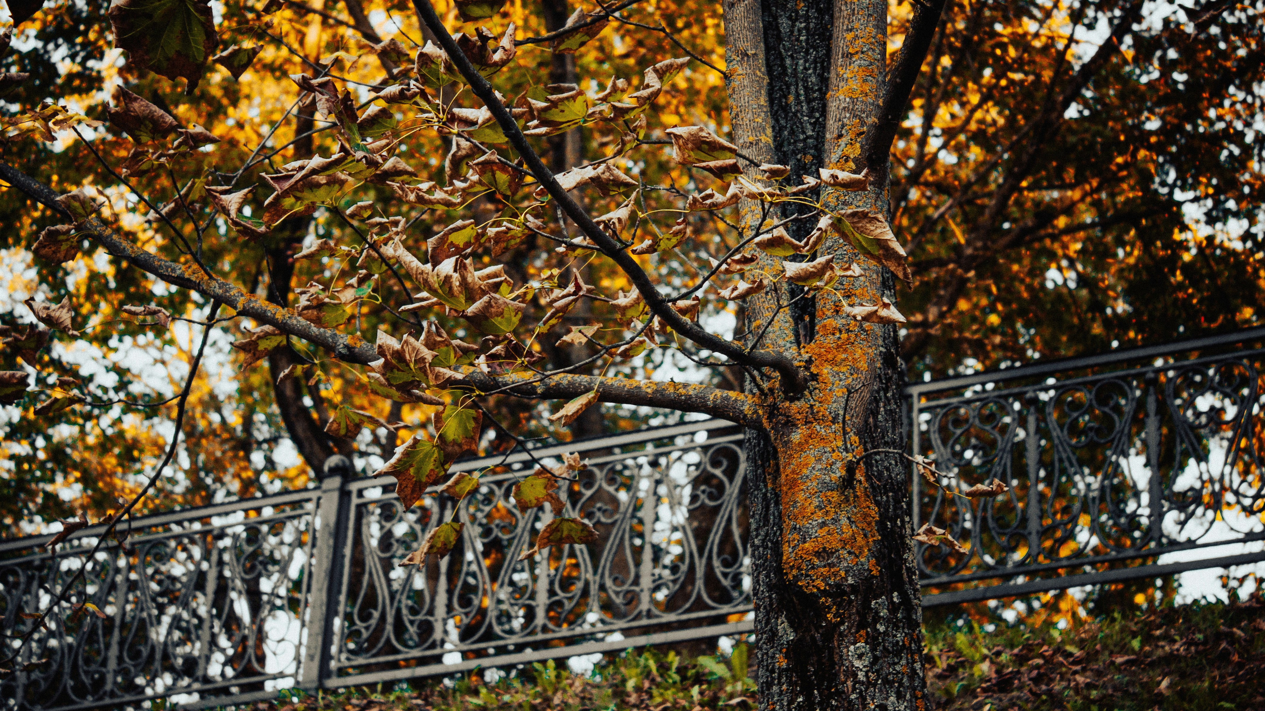 Photo by aleksey_parakhnevich