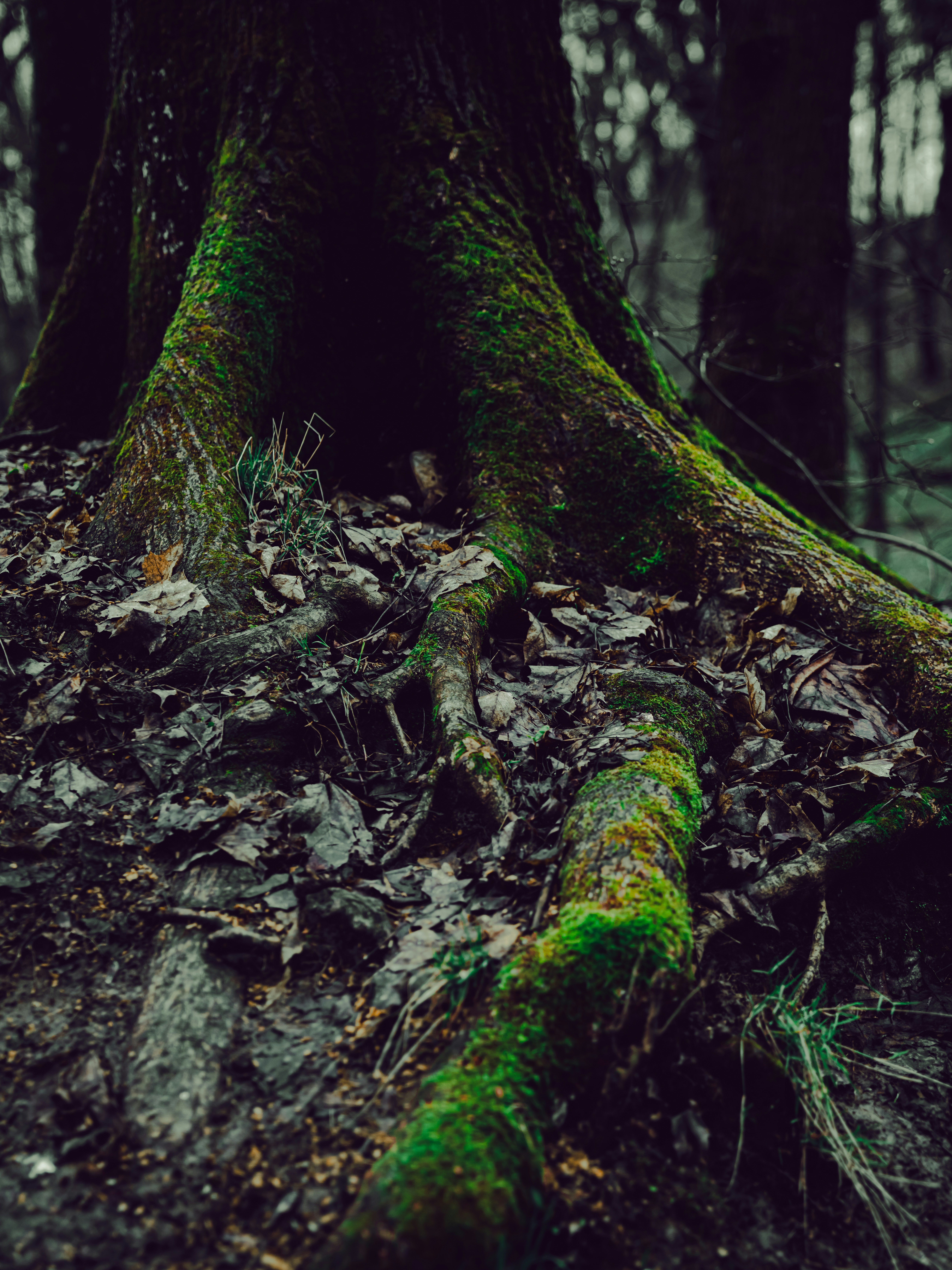 Photo by mineral_of_demon