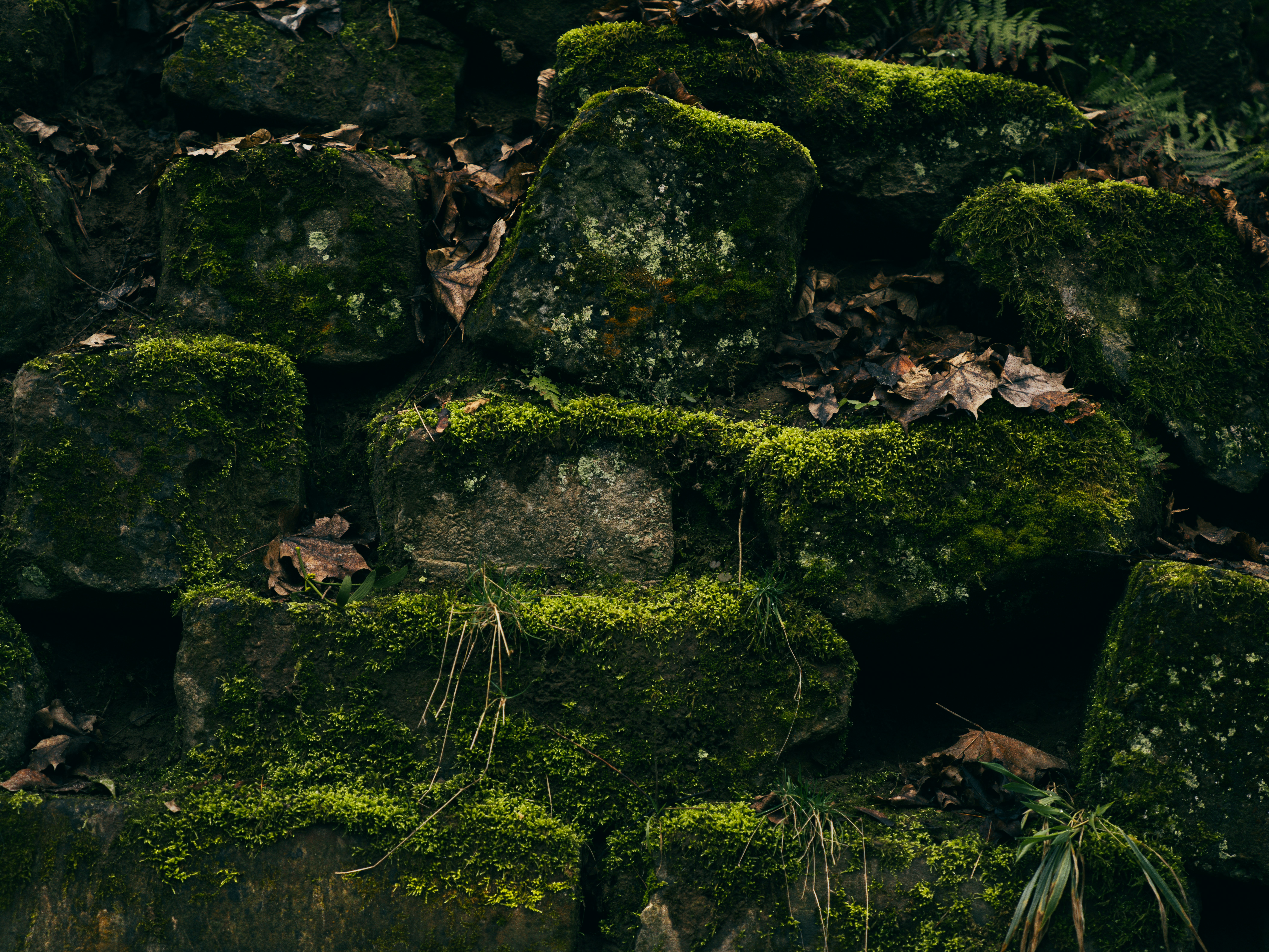 Photo by mineral_of_demon