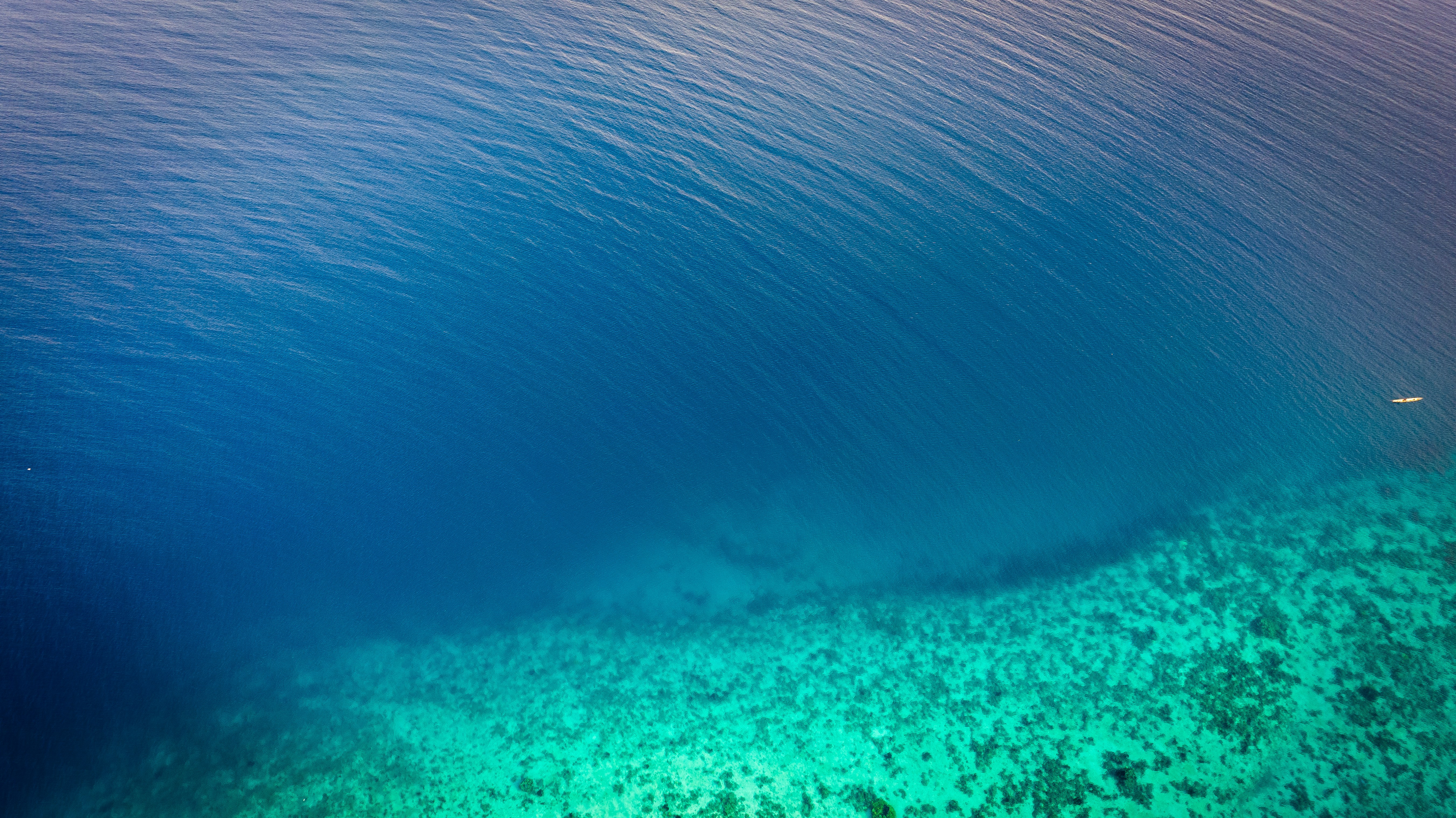 Environmental Factors That Promote Longevity (image credits: unsplash)