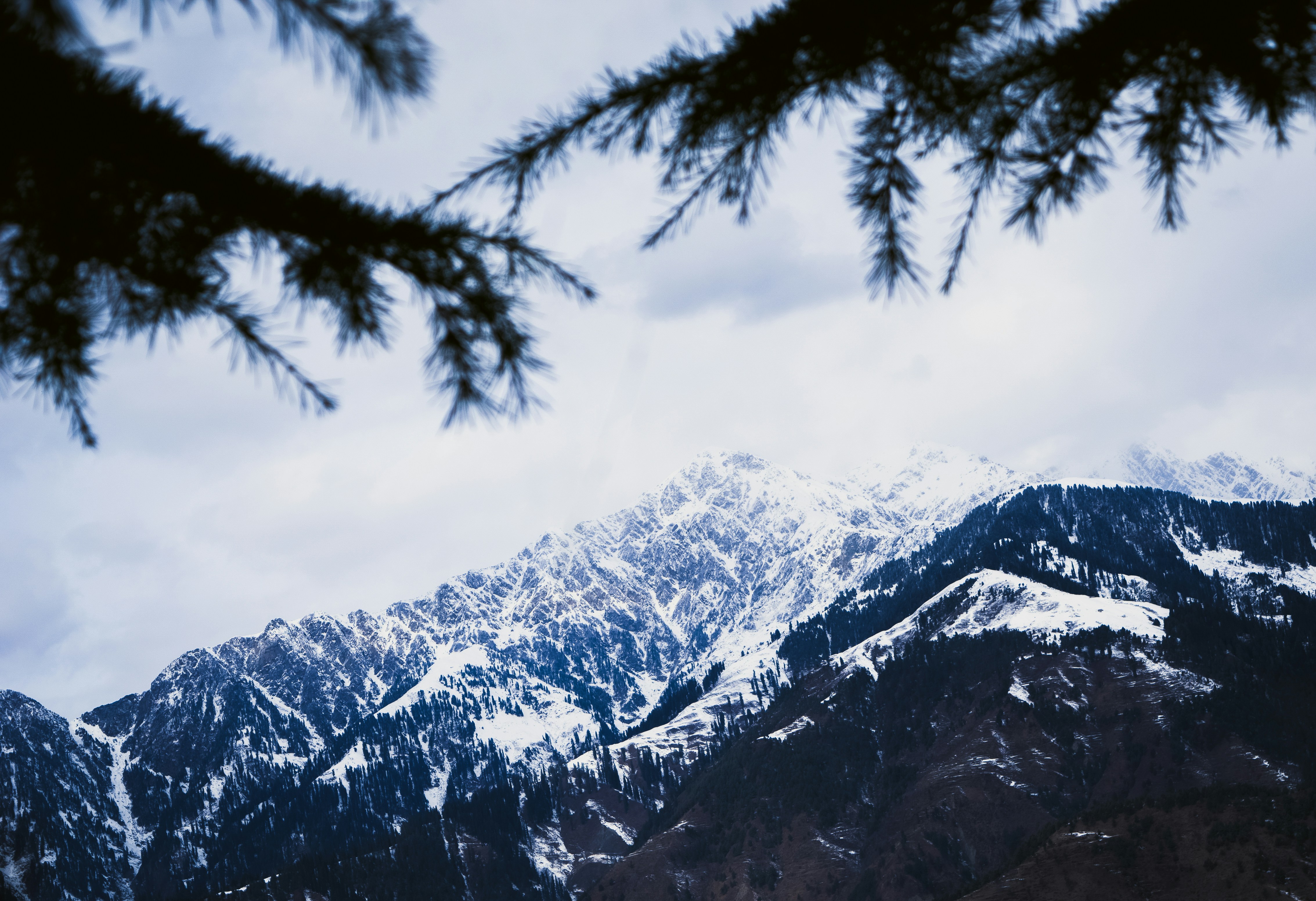 Photo by zainjawad