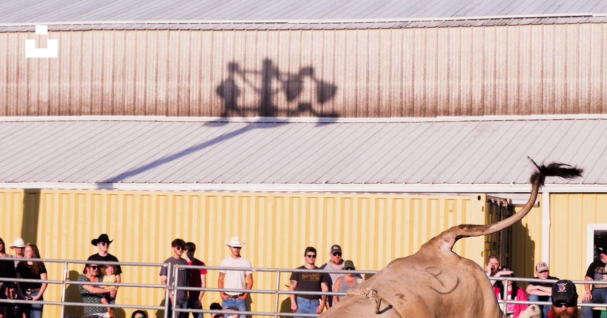 A man is trying to lasso a cow in a rodeo photo – Free Fox hollow rodeo ...