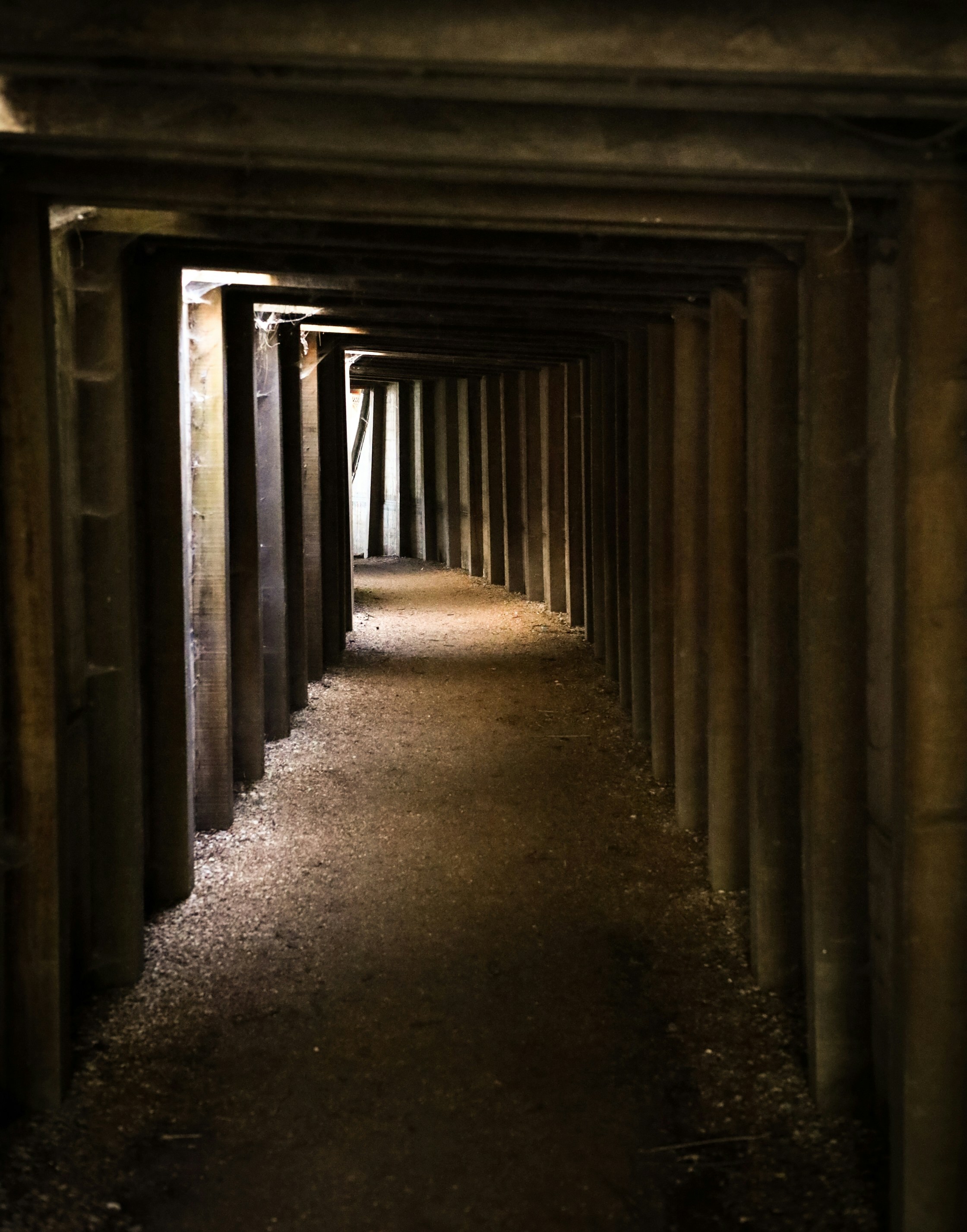 Photo by thomas_de_fretes