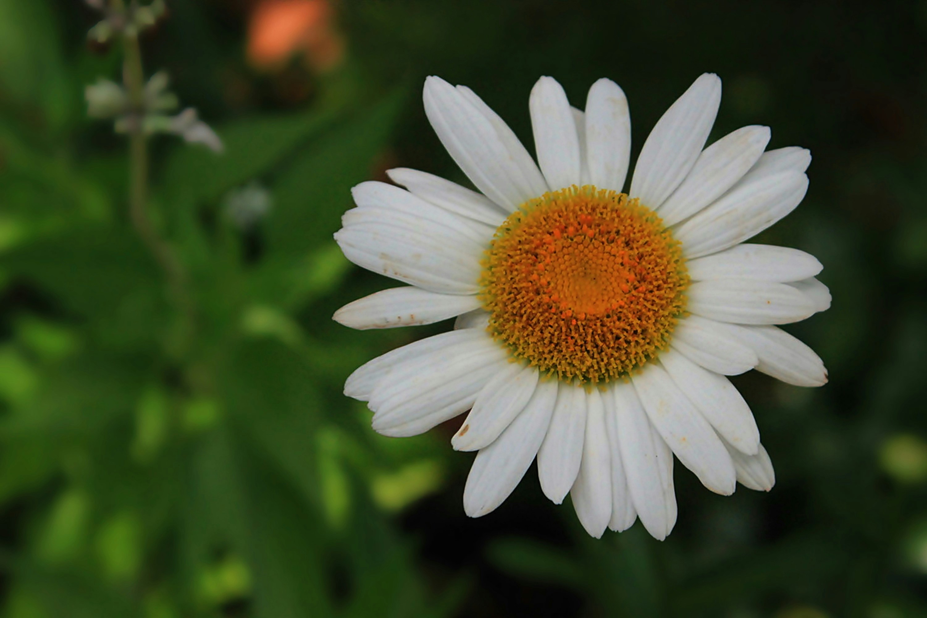 Photo by viewsofthecamera