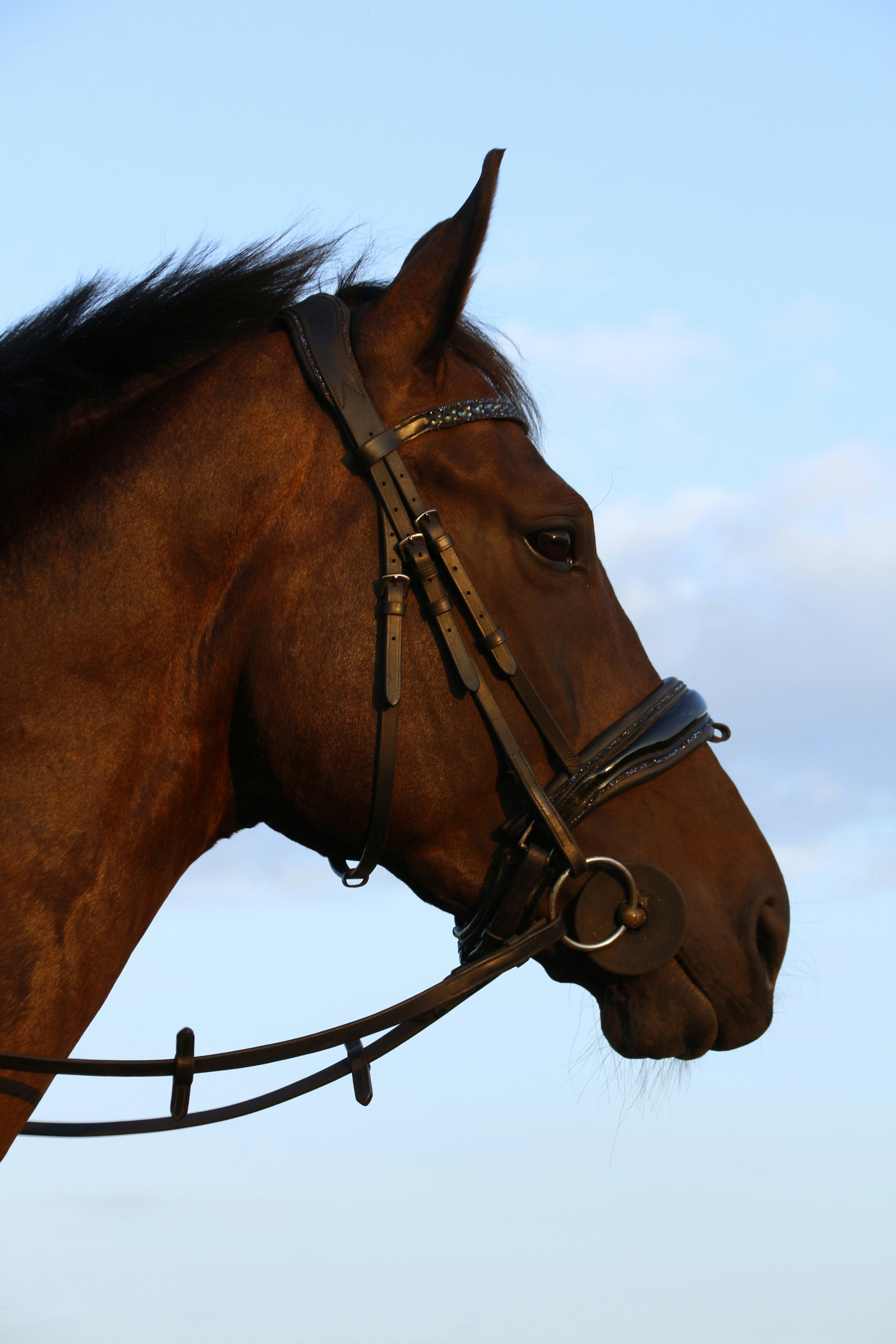 Photo by klarin_steffens