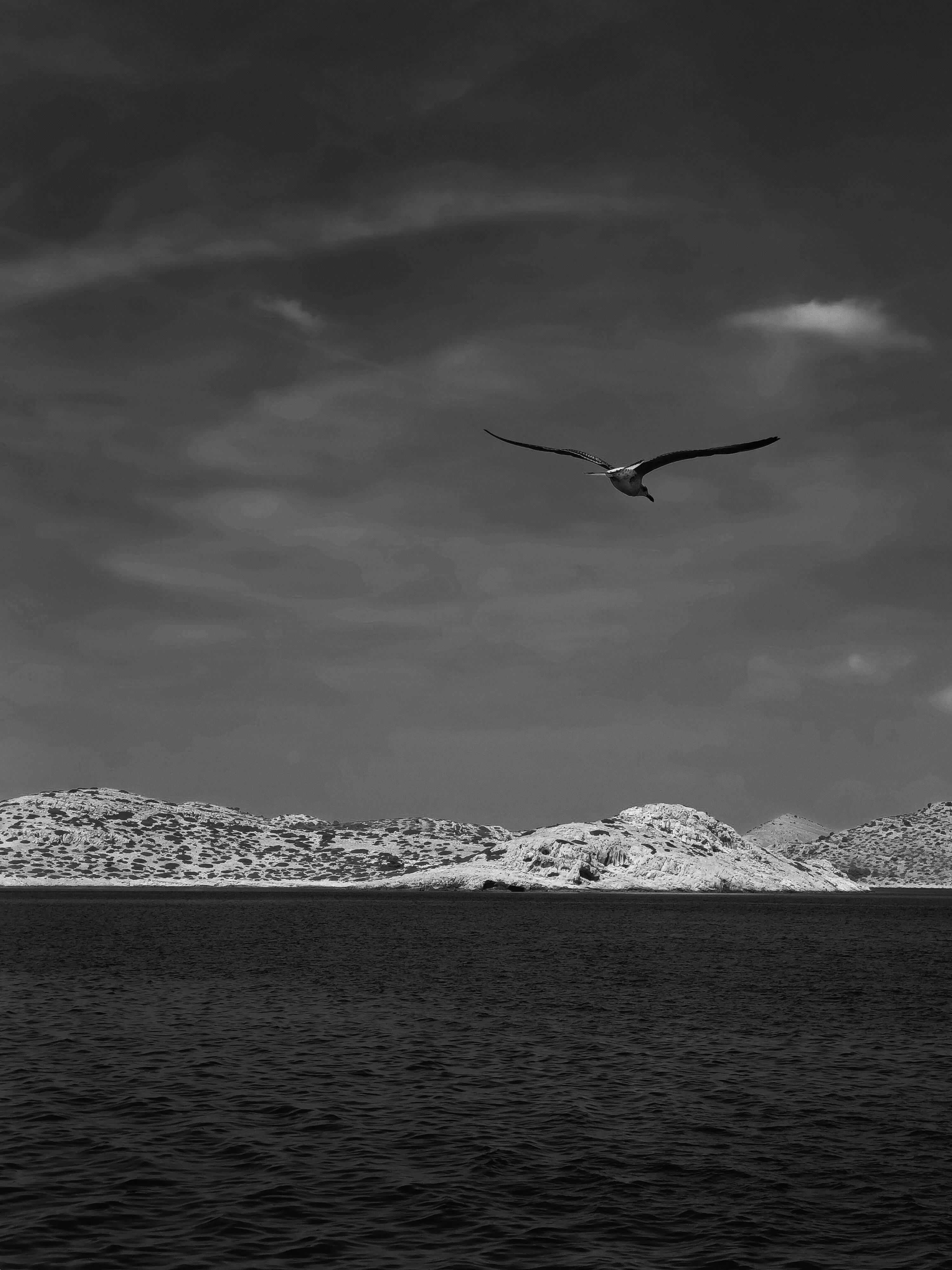 Photo by barbara_light