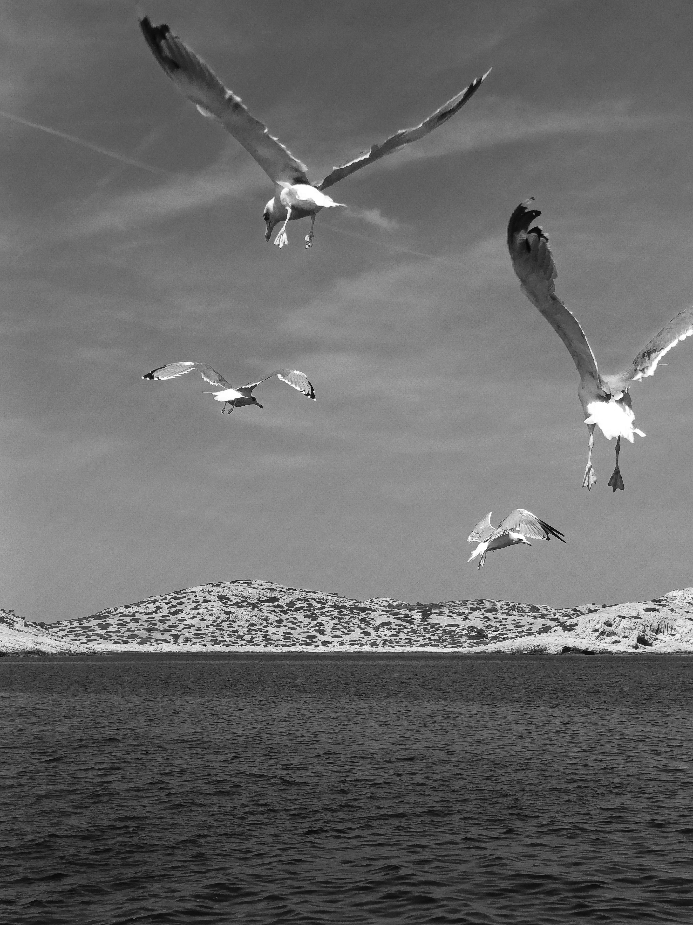 Photo by barbara_light