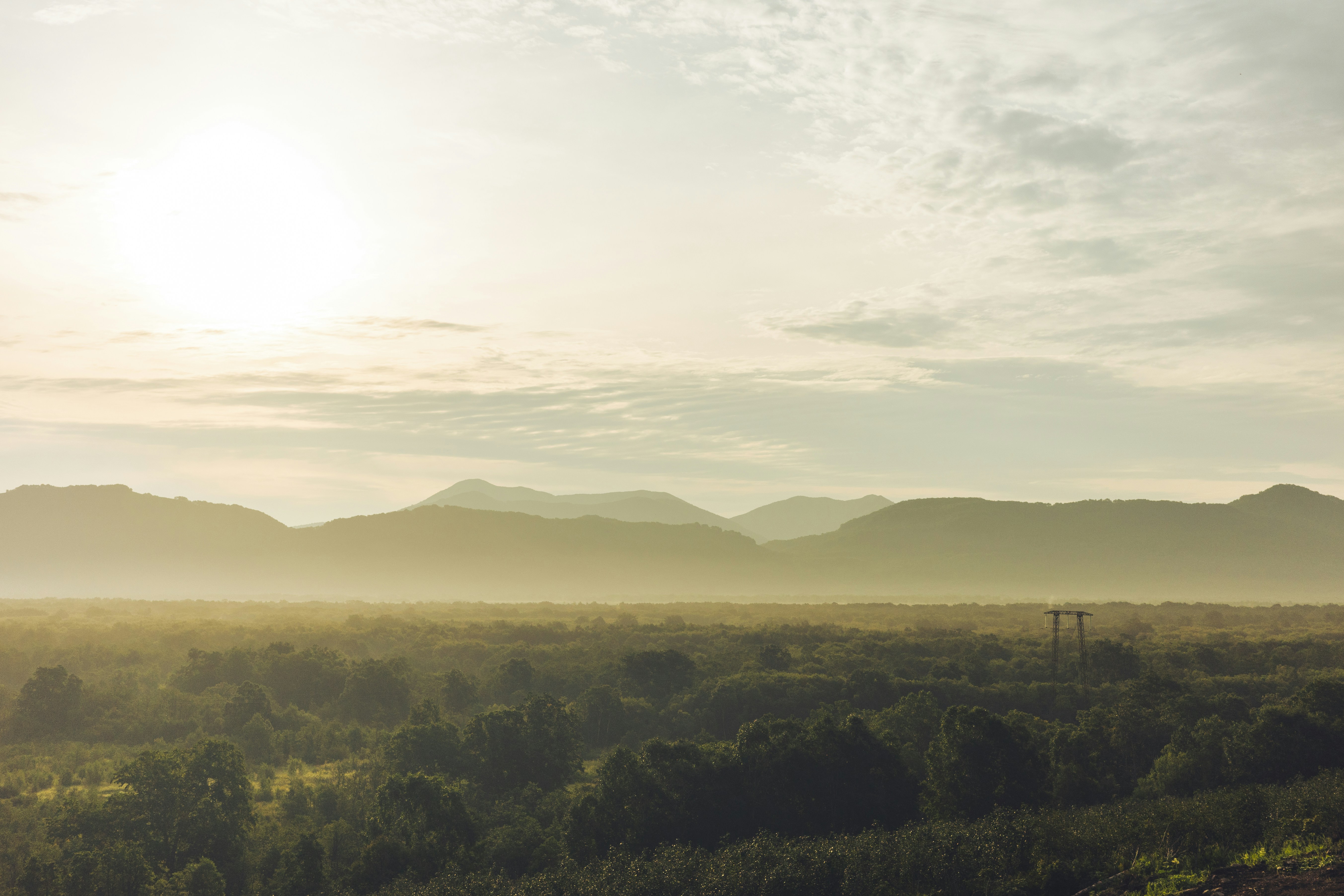 Photo by mirrors_are_more_fun