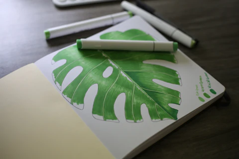 Botanical Sketching Kit