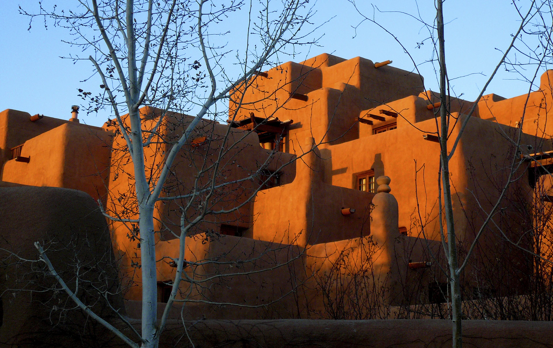 An elephant standing in front of a building
