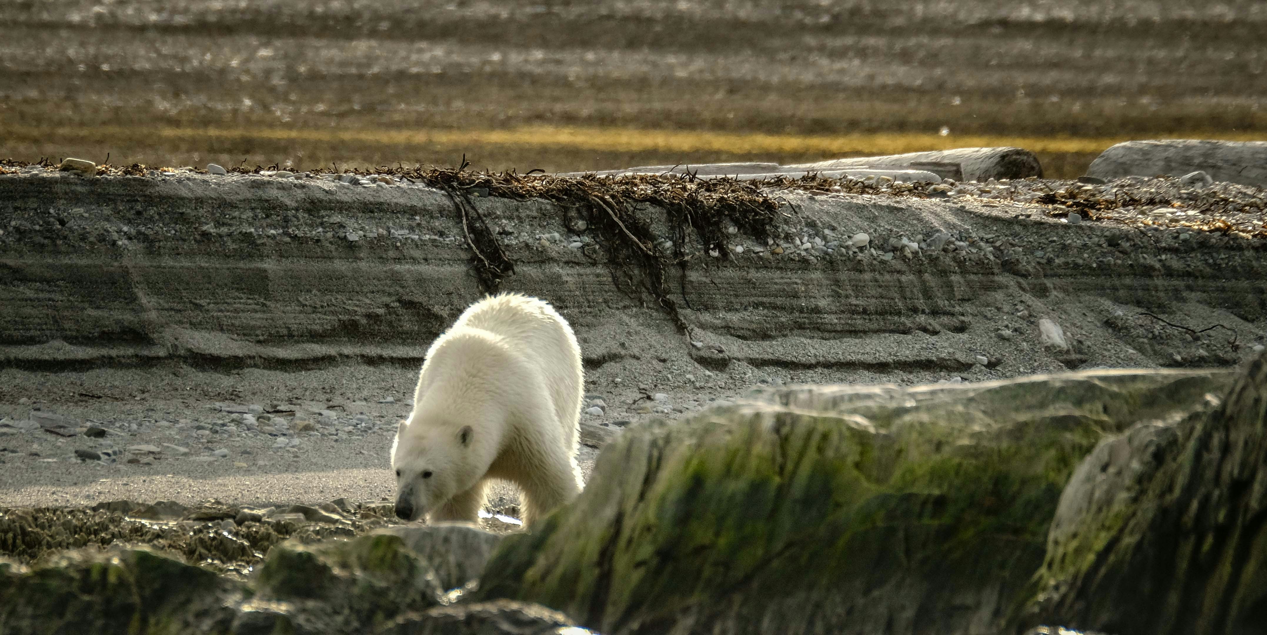 Photo by francesco_ungaro