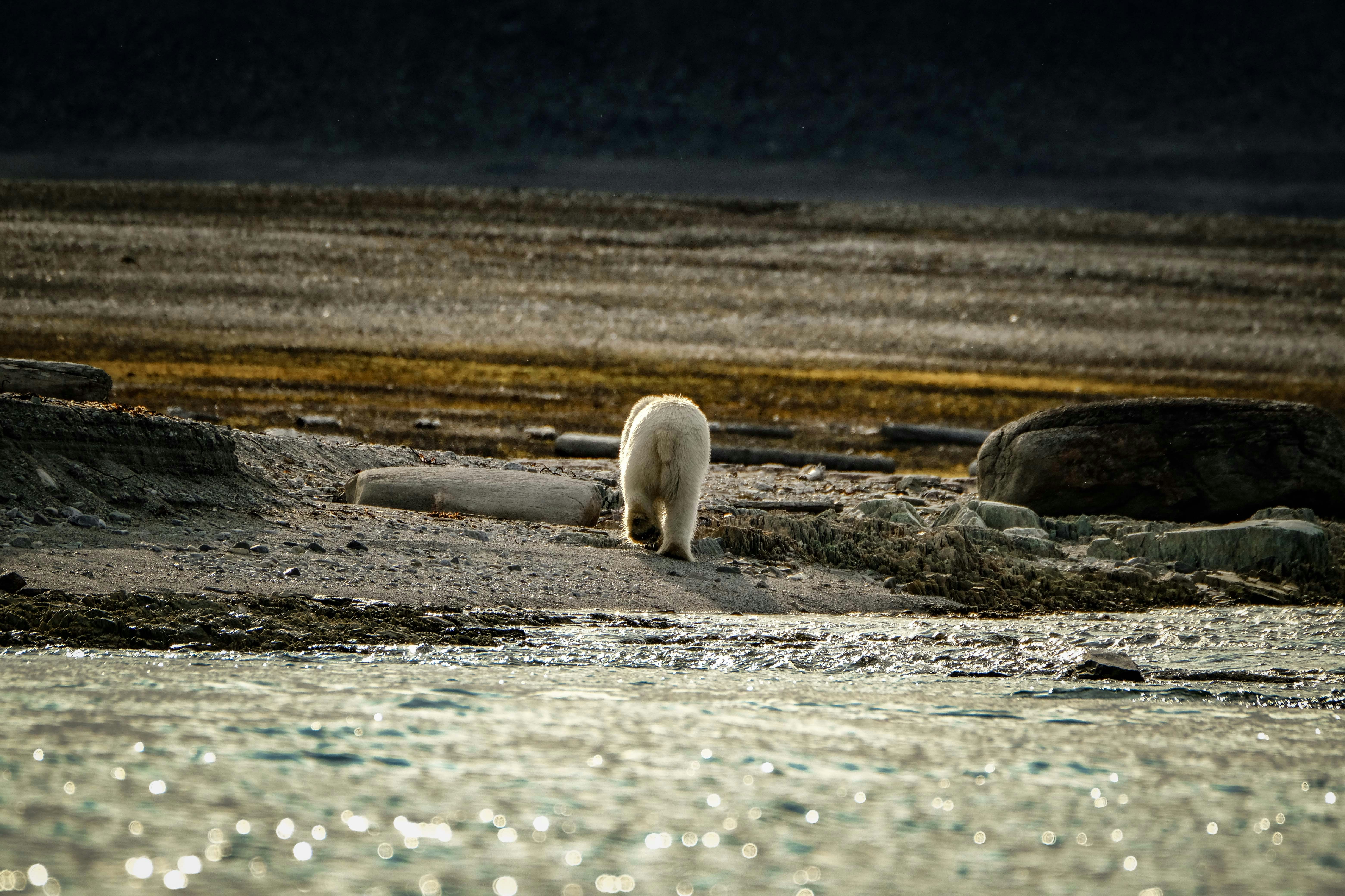 Photo by francesco_ungaro