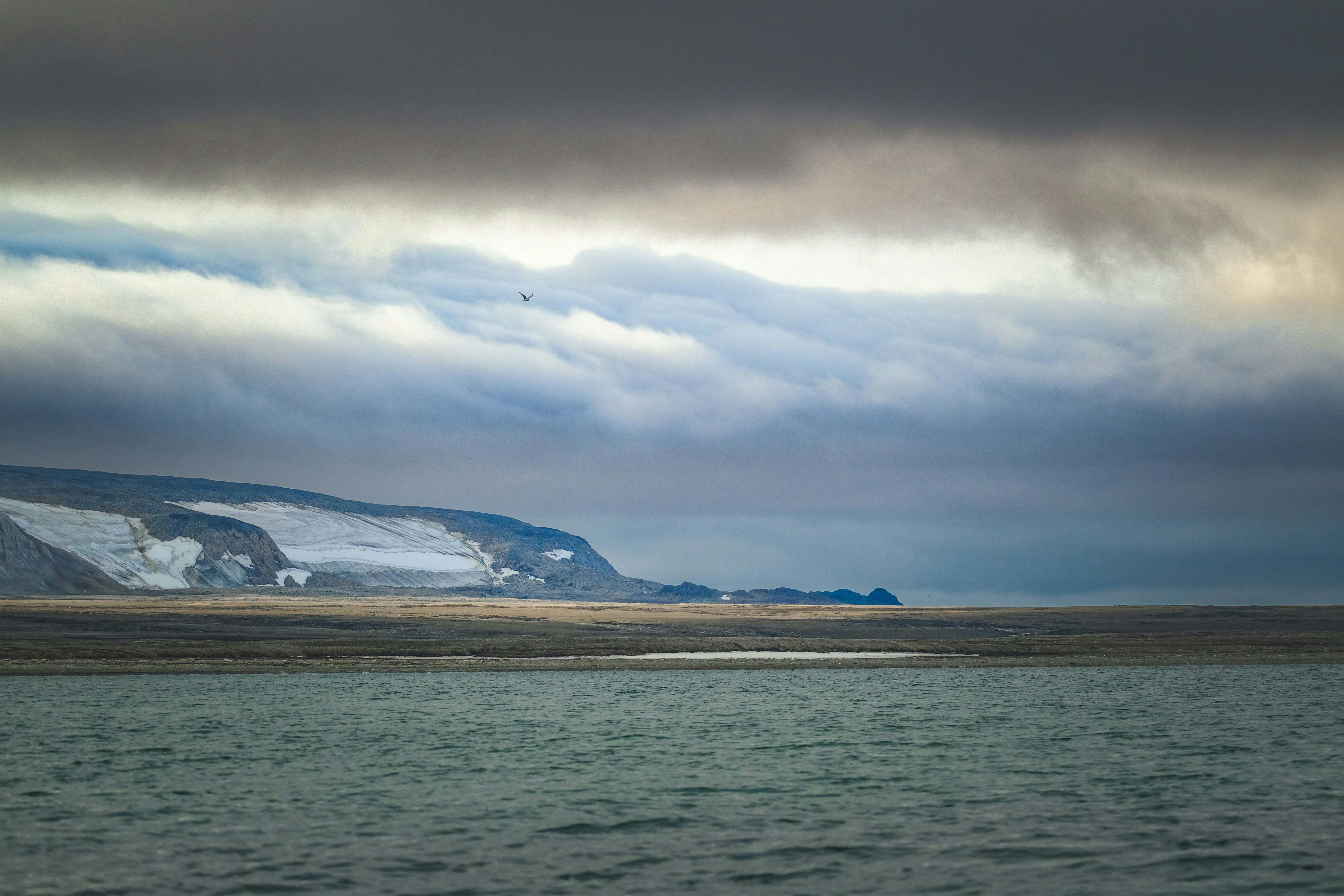 Photo by francesco_ungaro