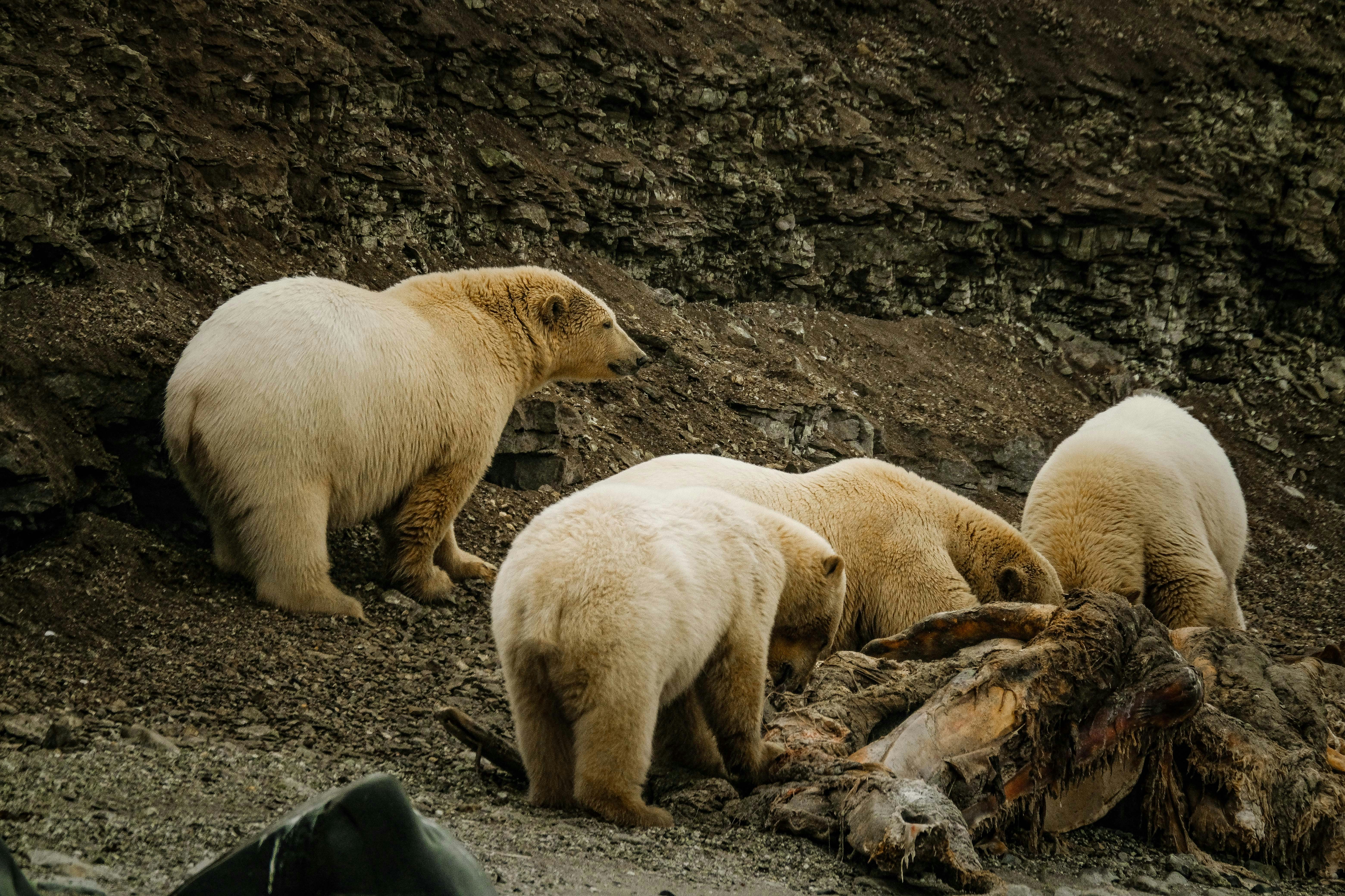 Photo by francesco_ungaro