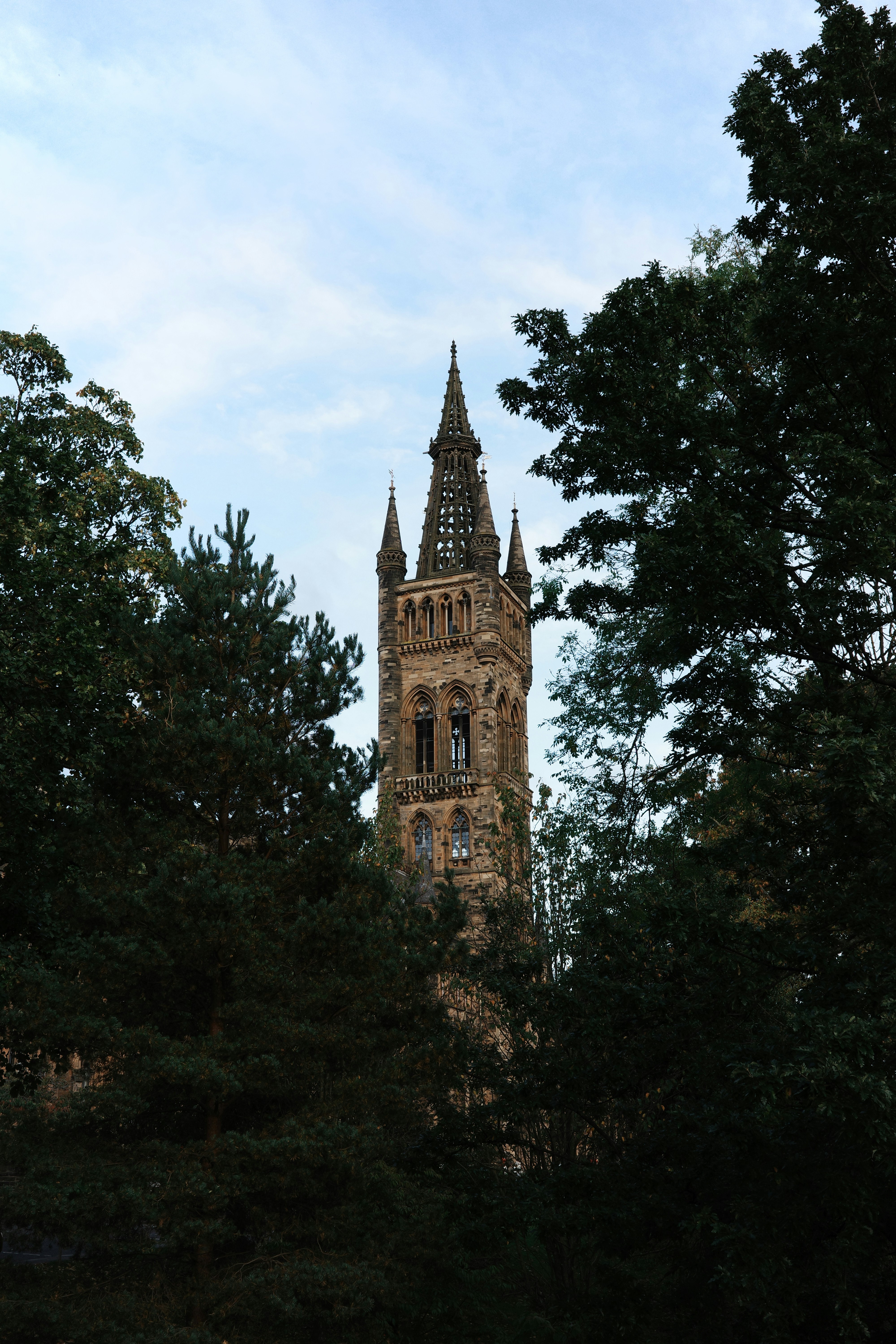 A tall clock tower towering over a forest