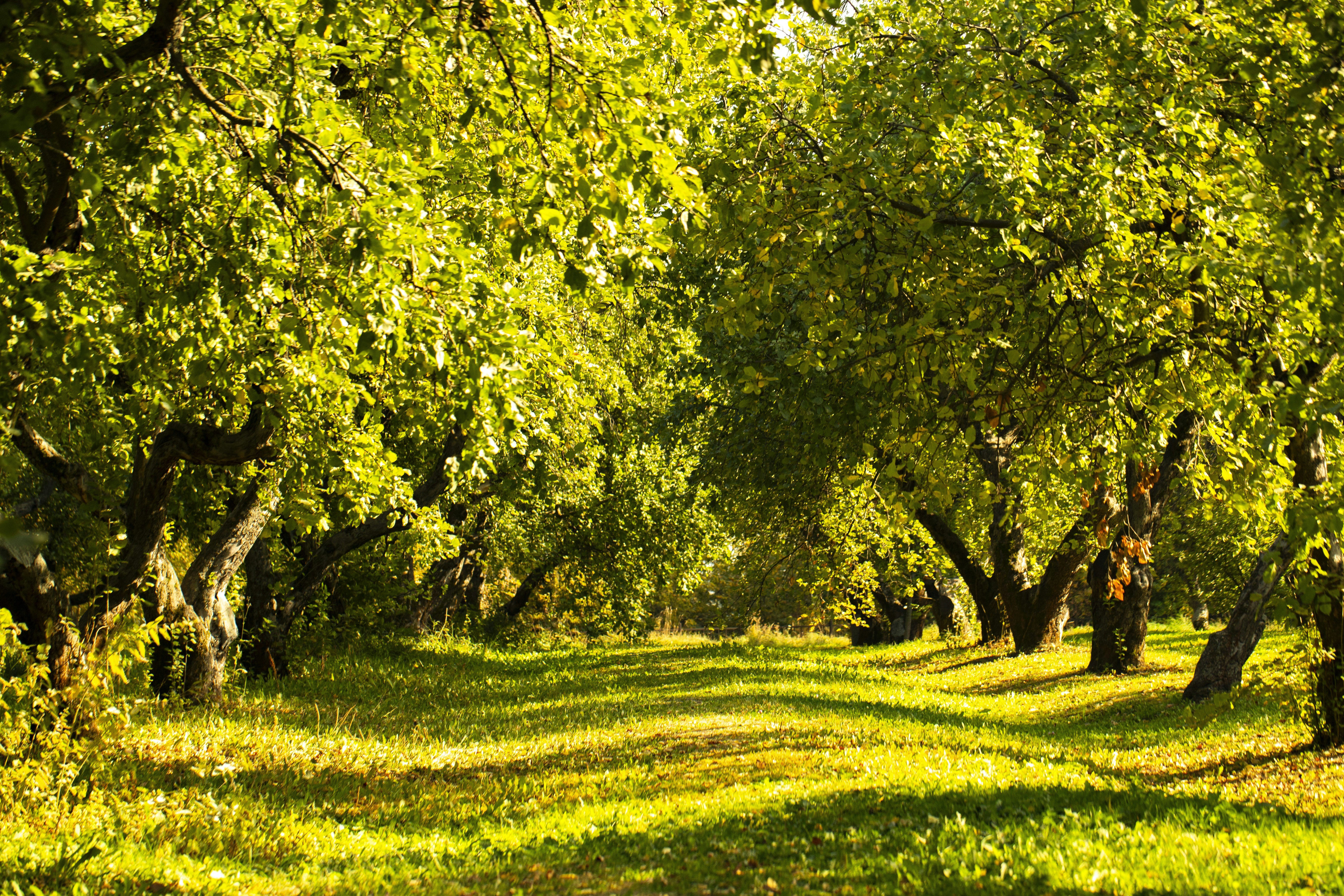 Photo by stef_enheart