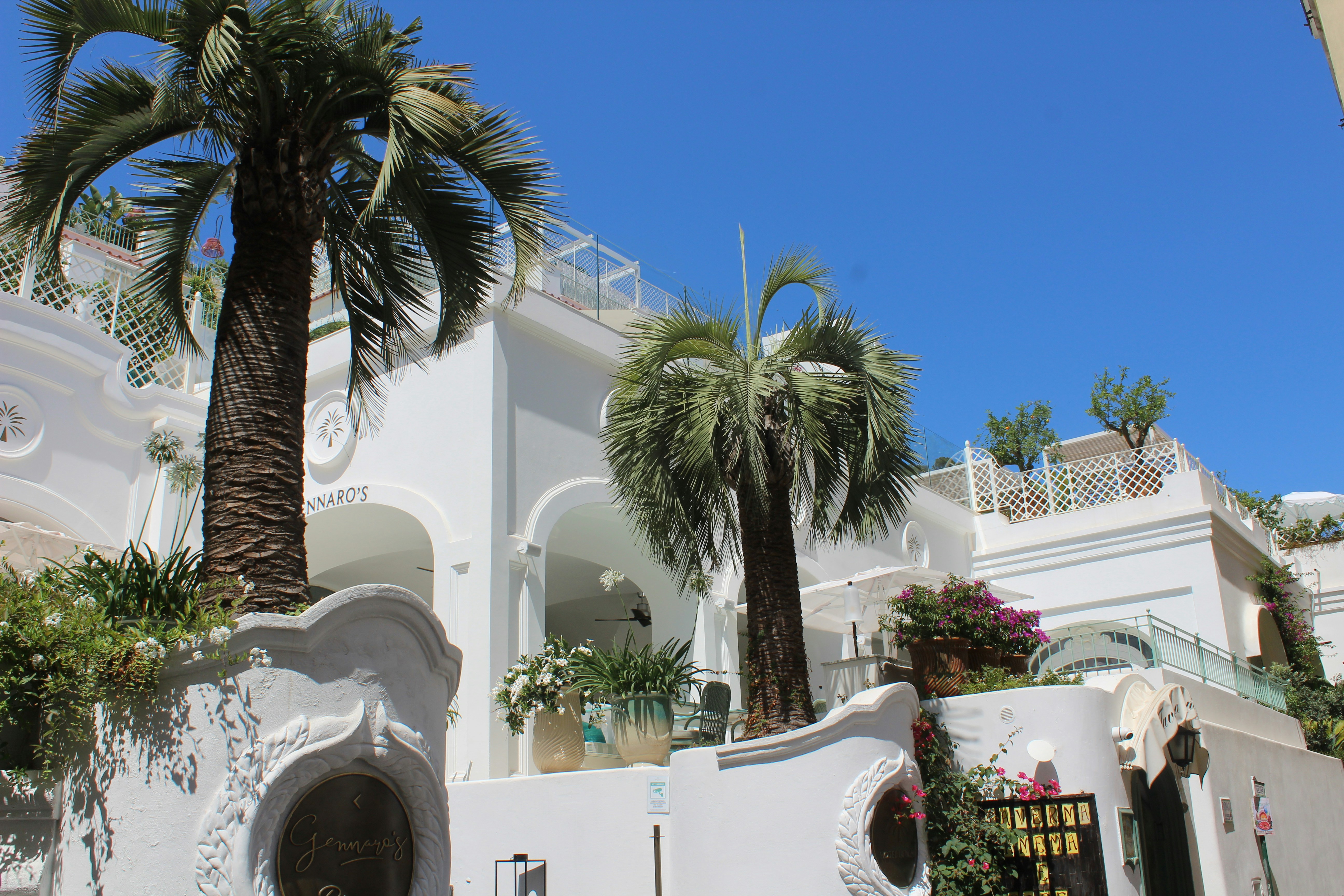 Capri hotels: Charming Villas and Apartments