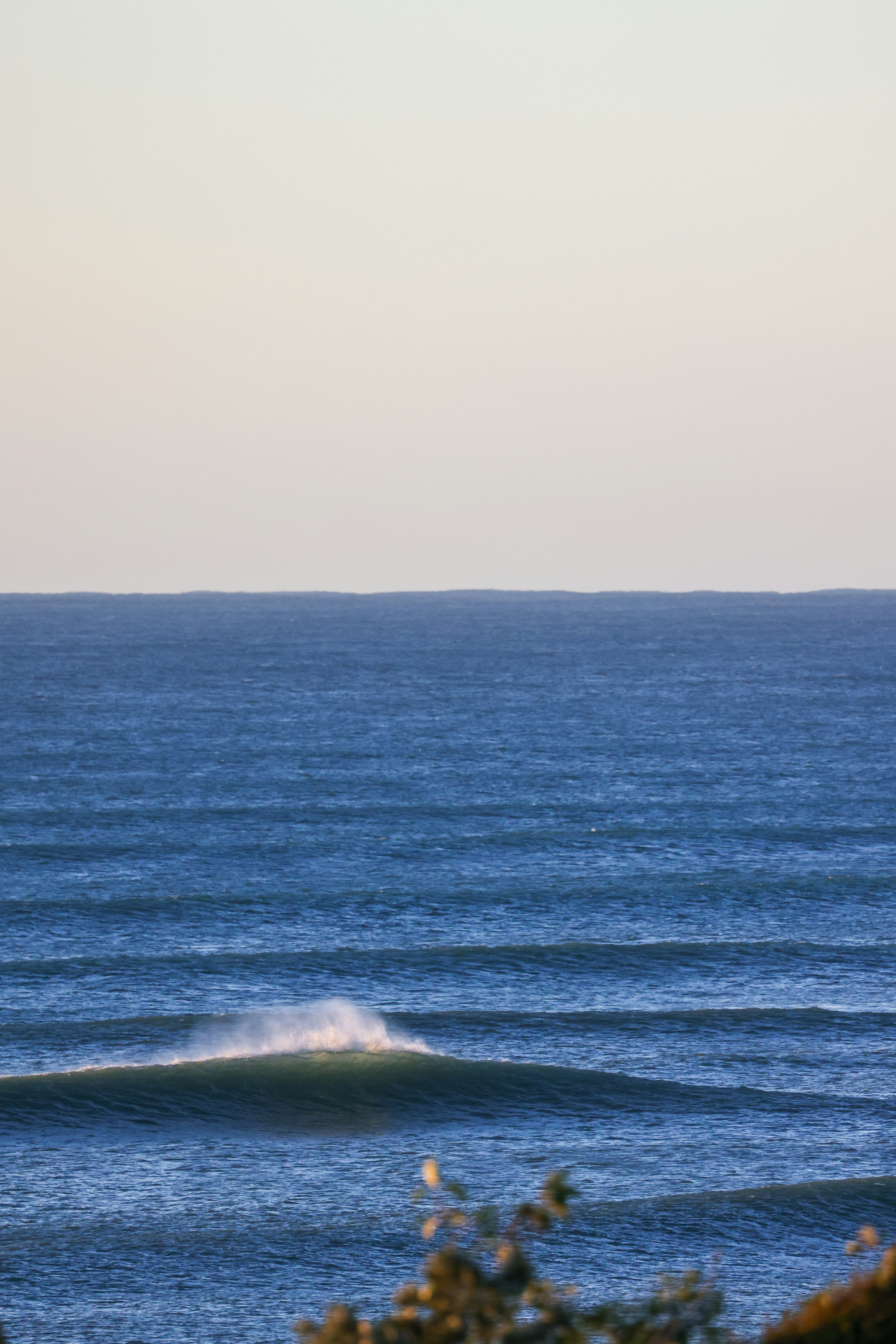 Photo by ldvphotographynz