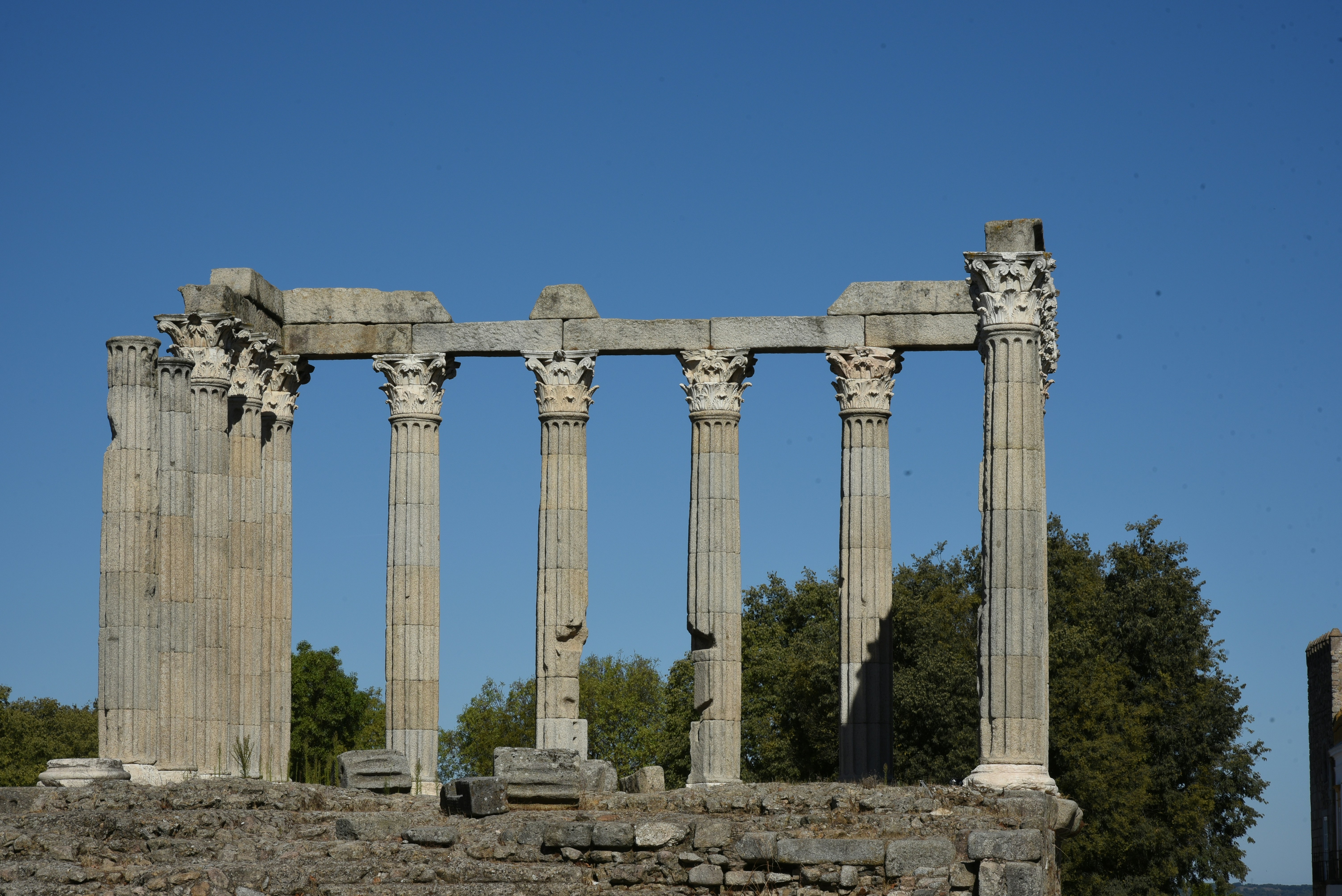 Photo by gunnarridder