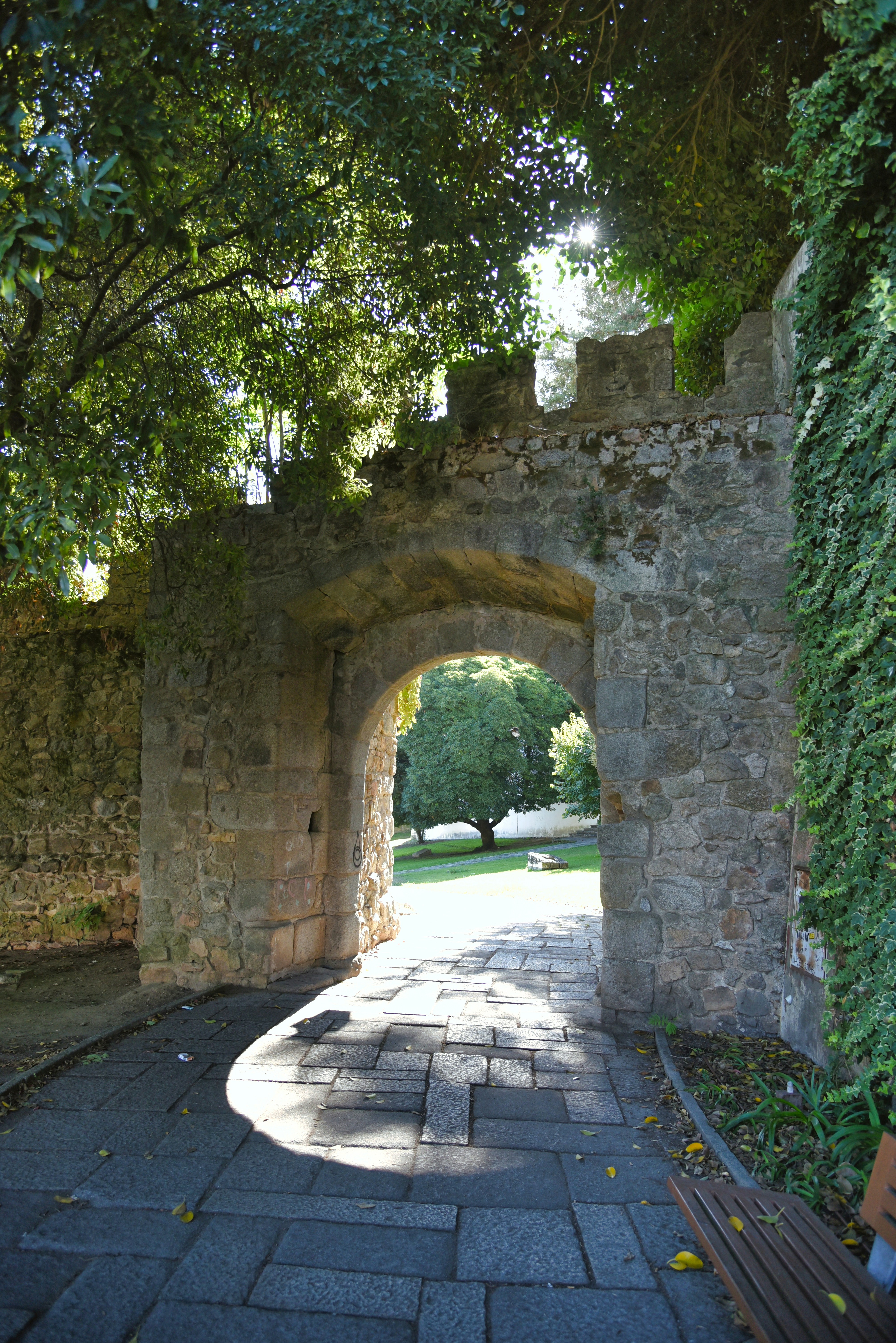 Photo by gunnarridder