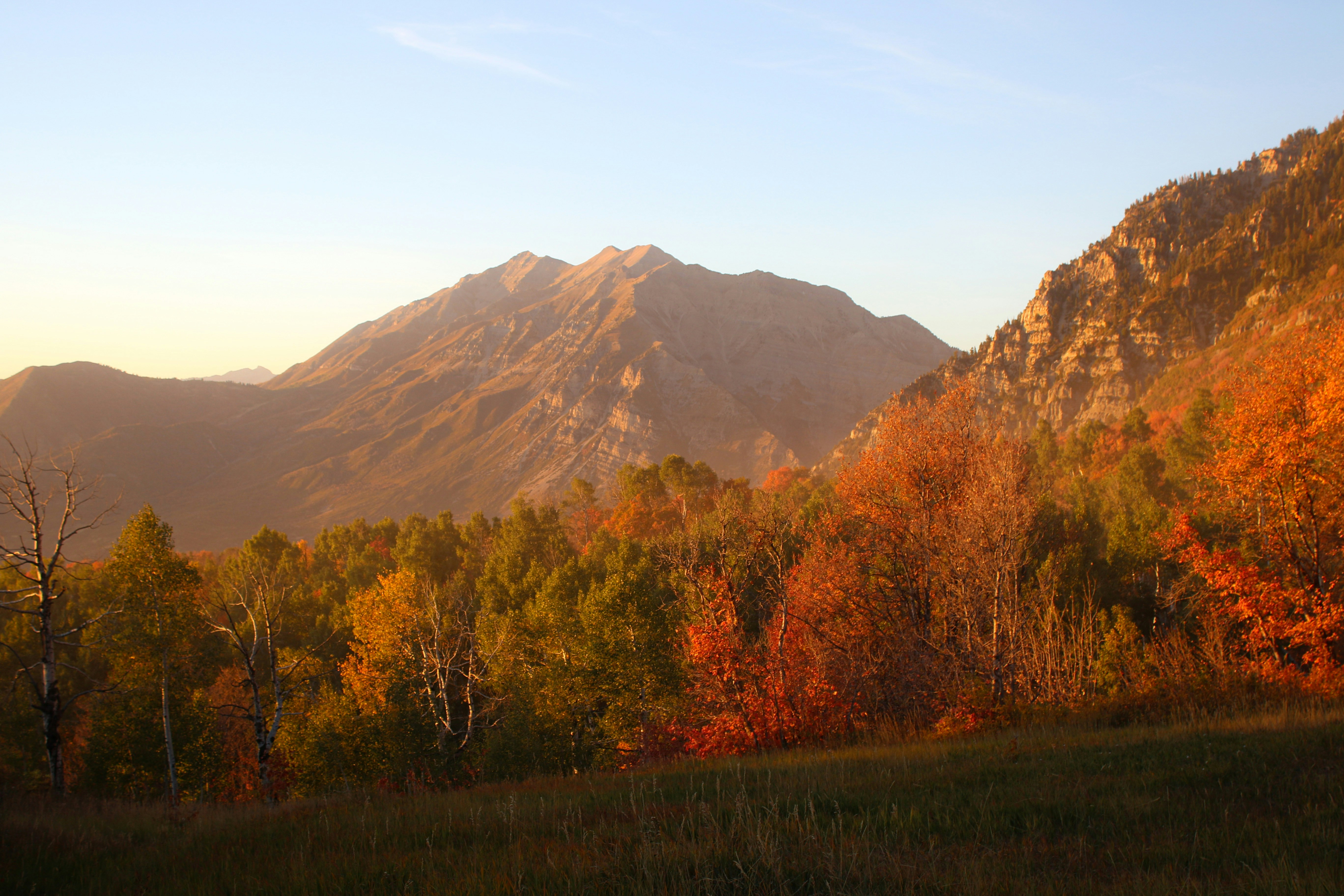 A view of a mountain range with trees in the foreground