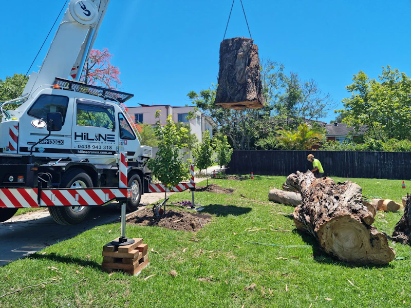 Crane truck lifting a large cut tree section out of a residential yard