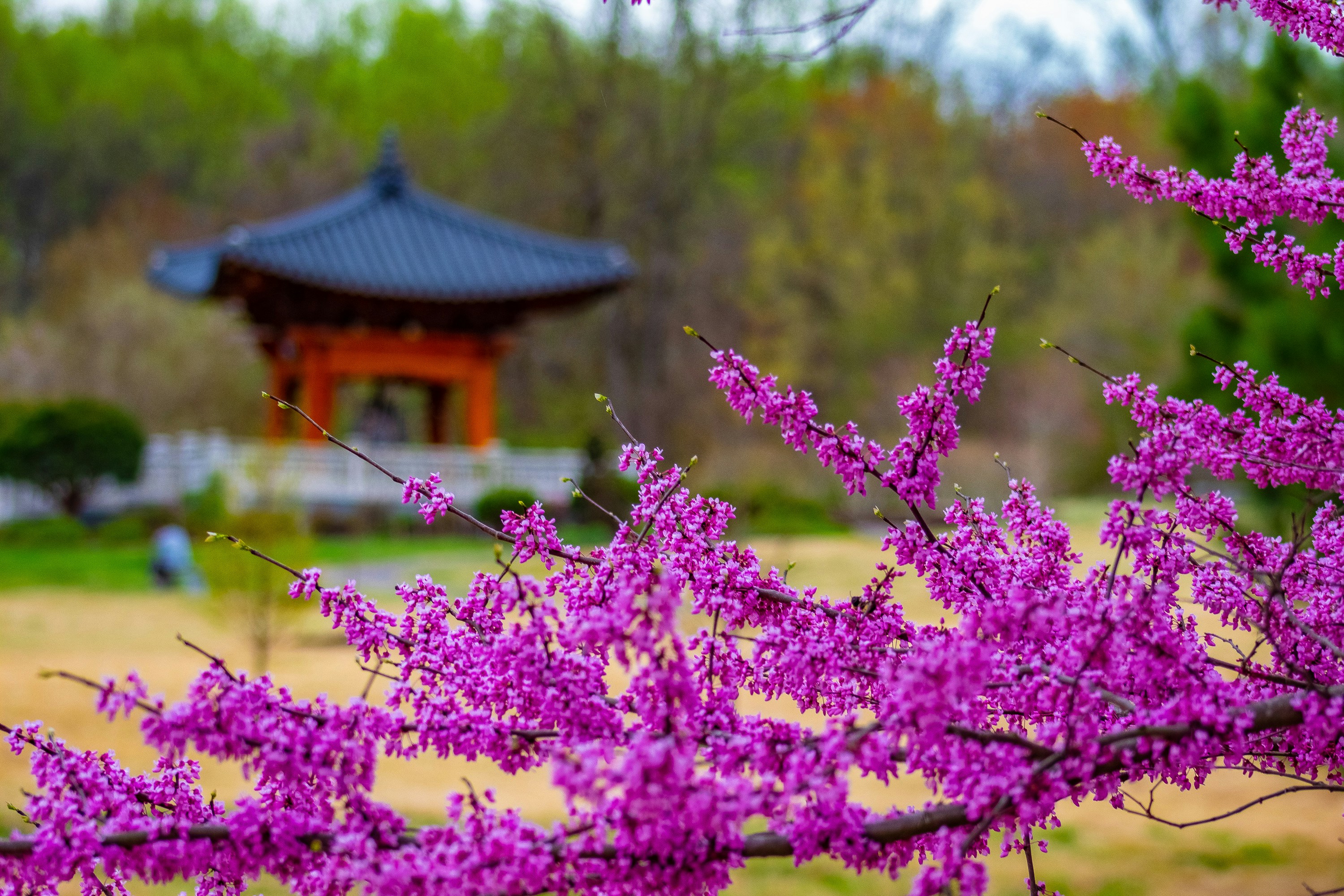 I'm Board in Microsoft Planner!