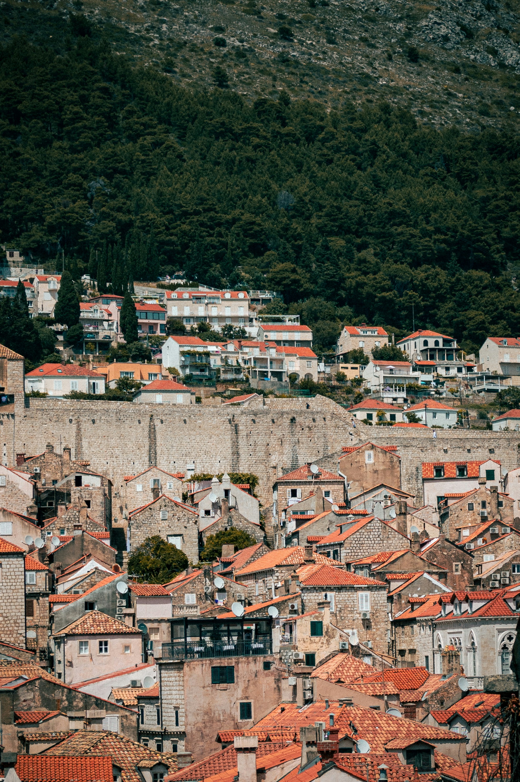 A view of a city from a hill