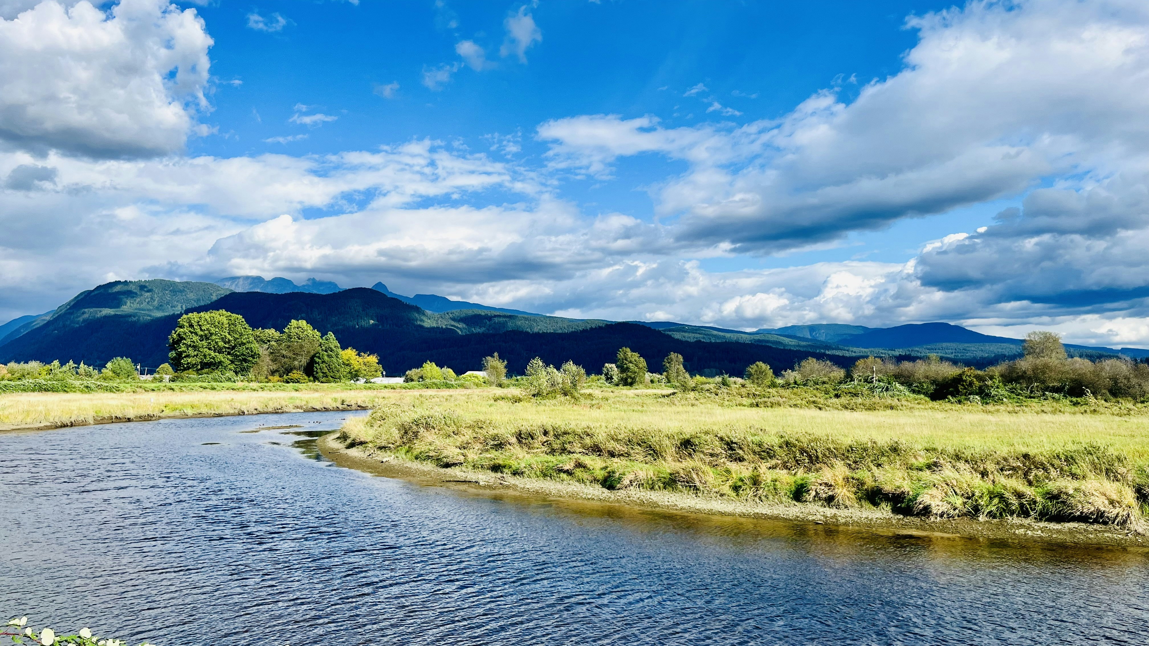 Photo by occasionalclicks