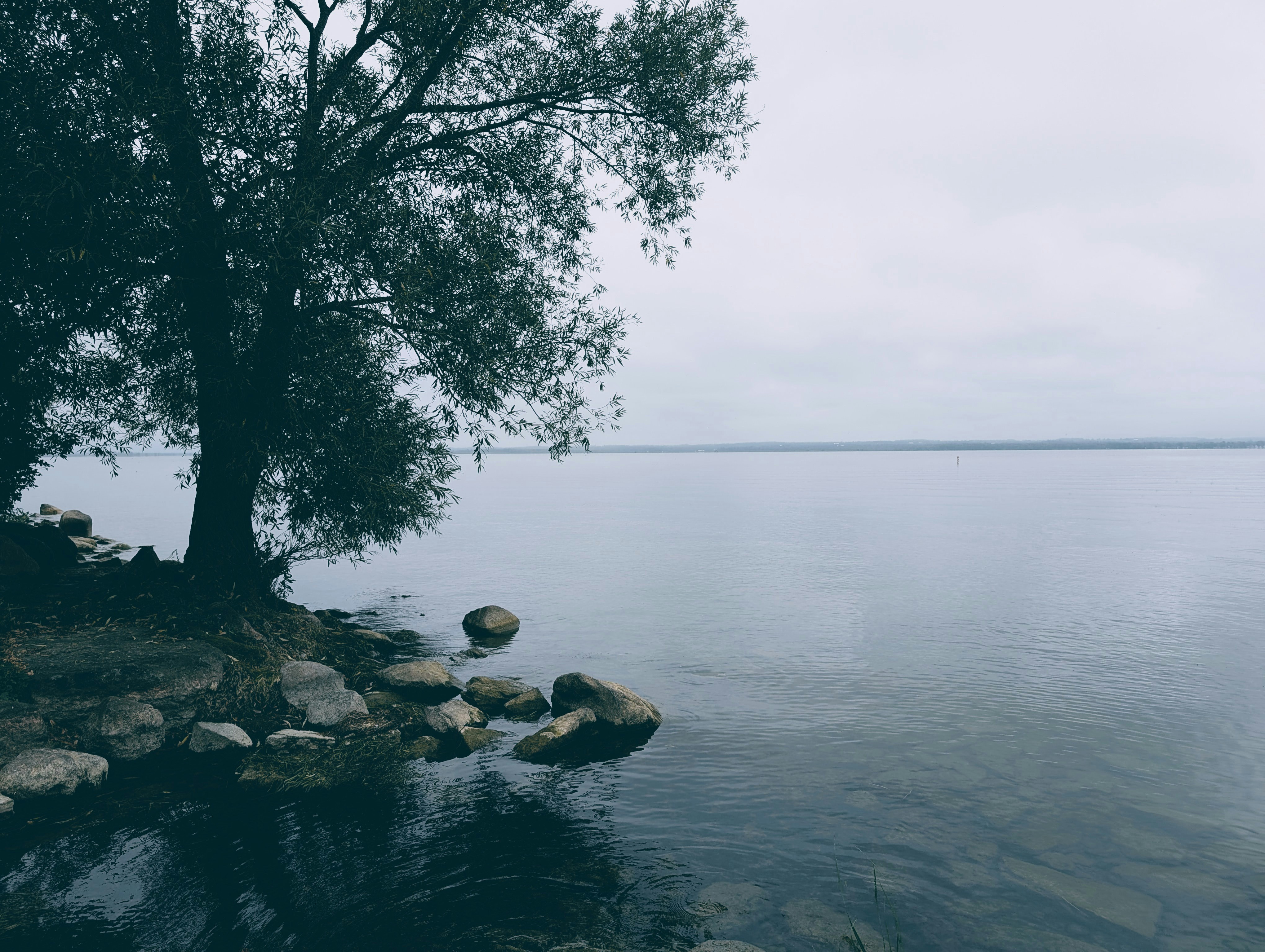 Photo by daniellebenoit