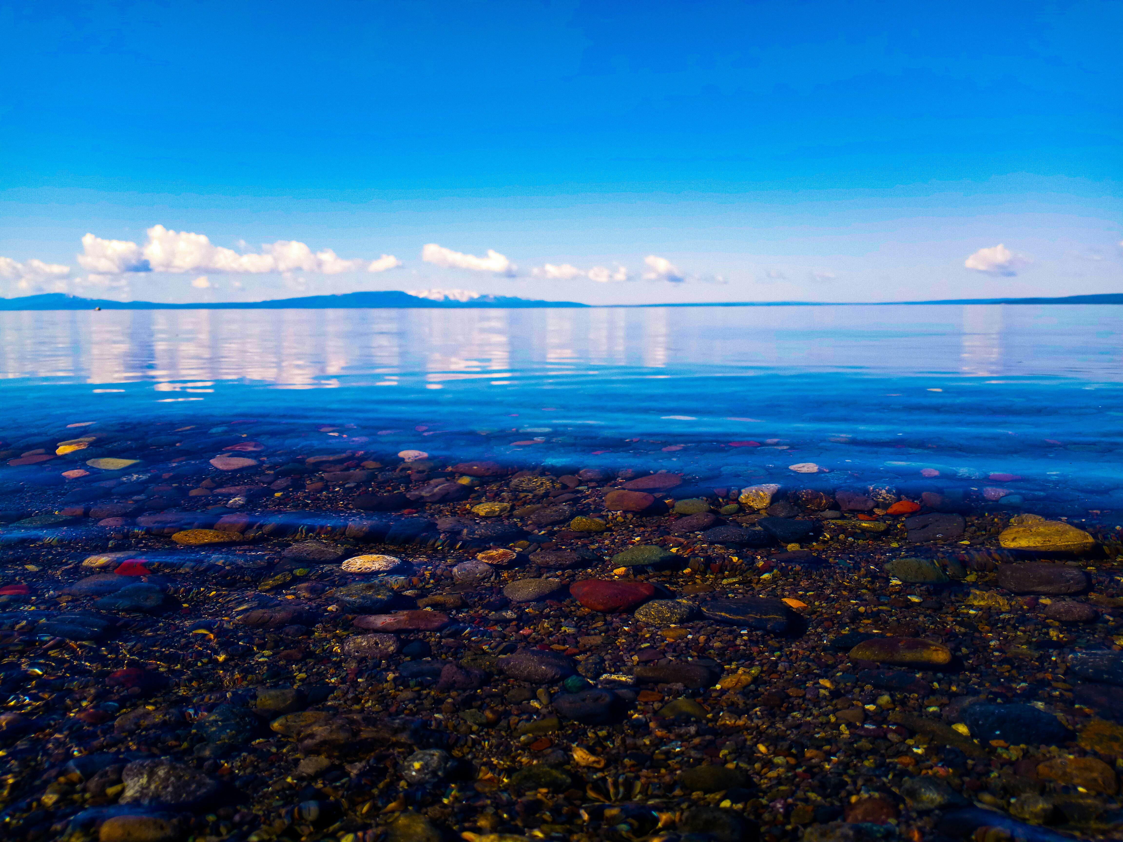 Photo by fosterpride