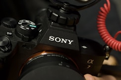 A person holding a camera in their hand