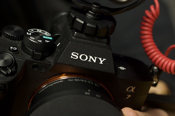 A person holding a camera in their hand