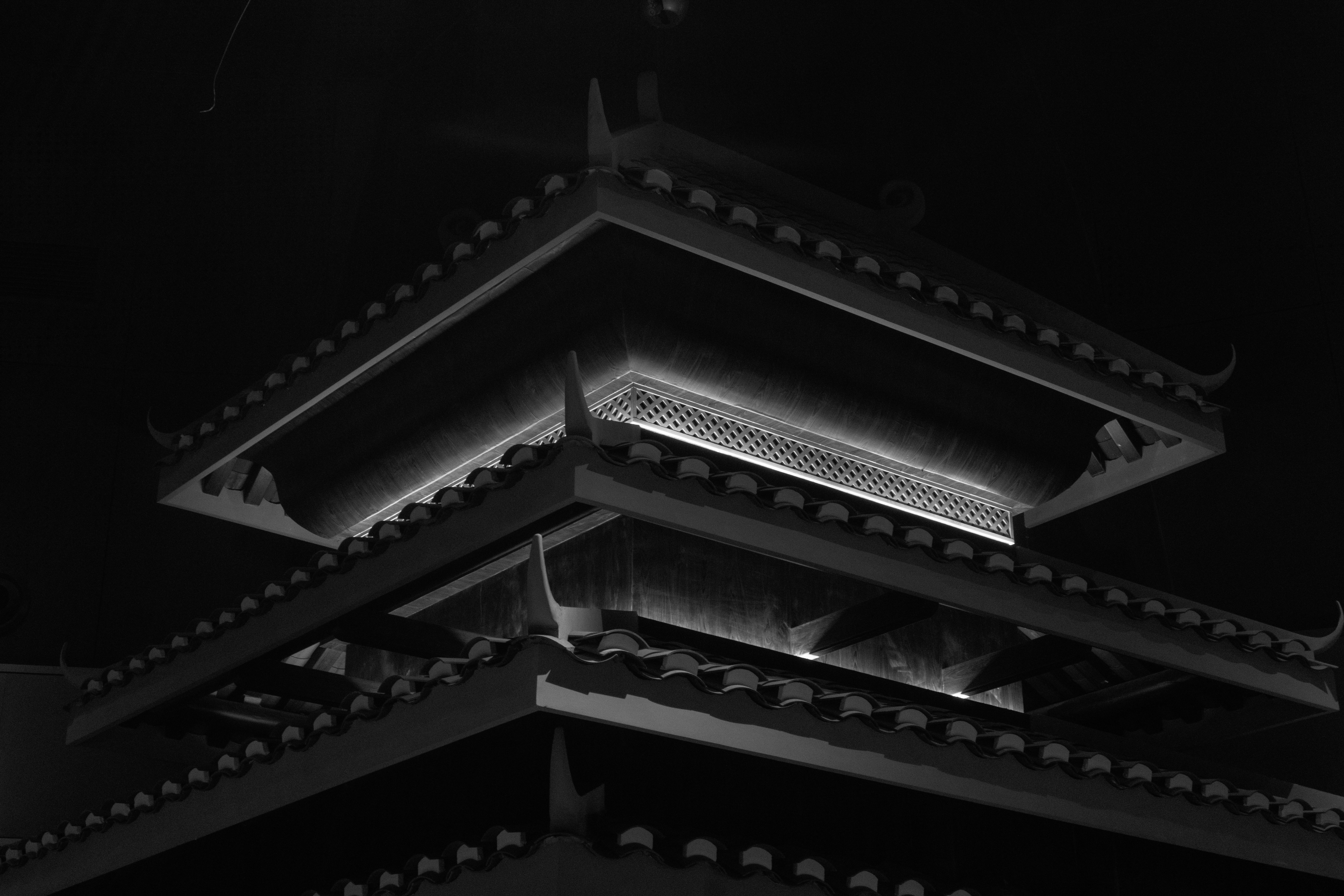 Photo by maivophucthanh