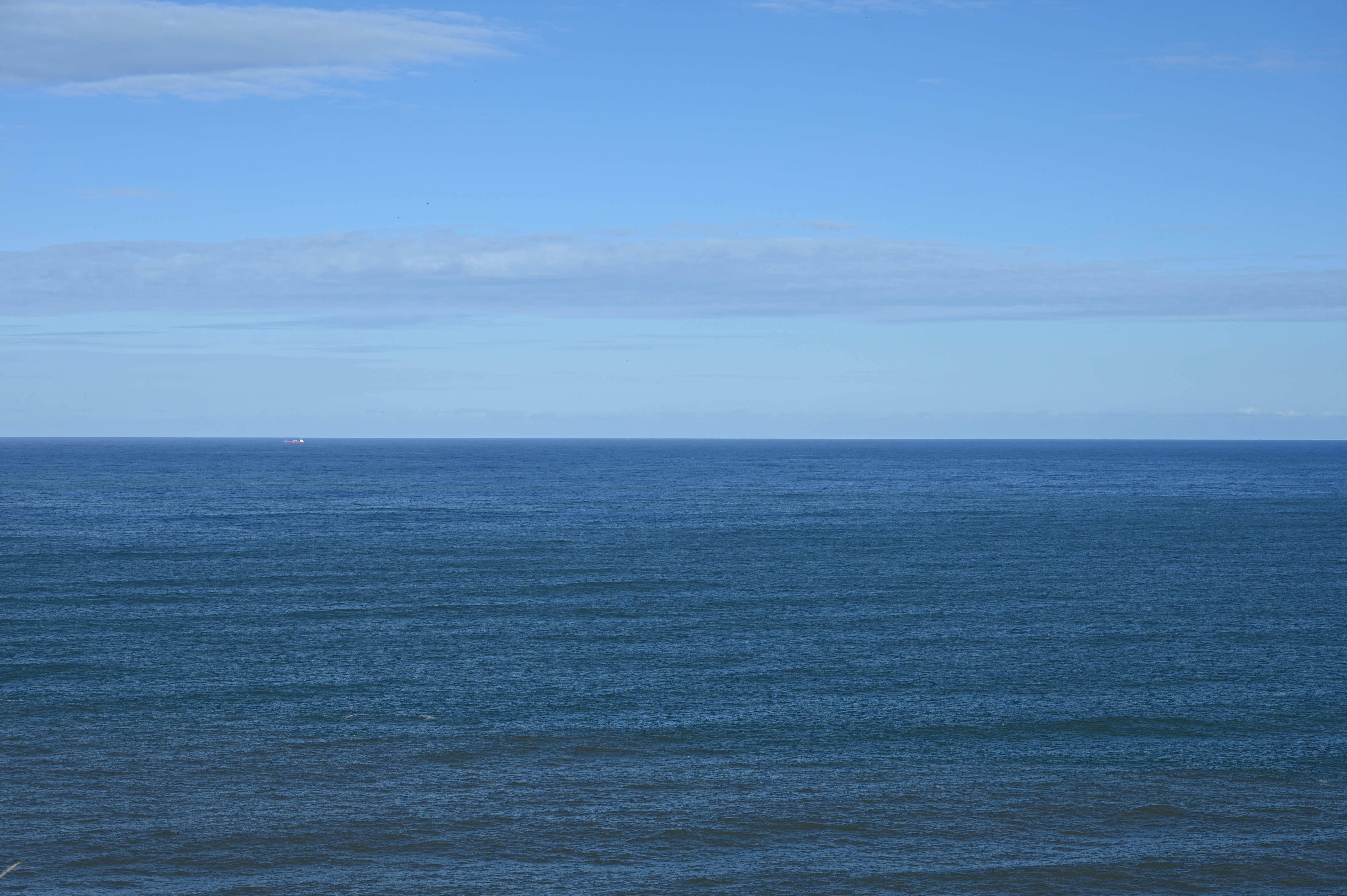 Photo by harryrryrry