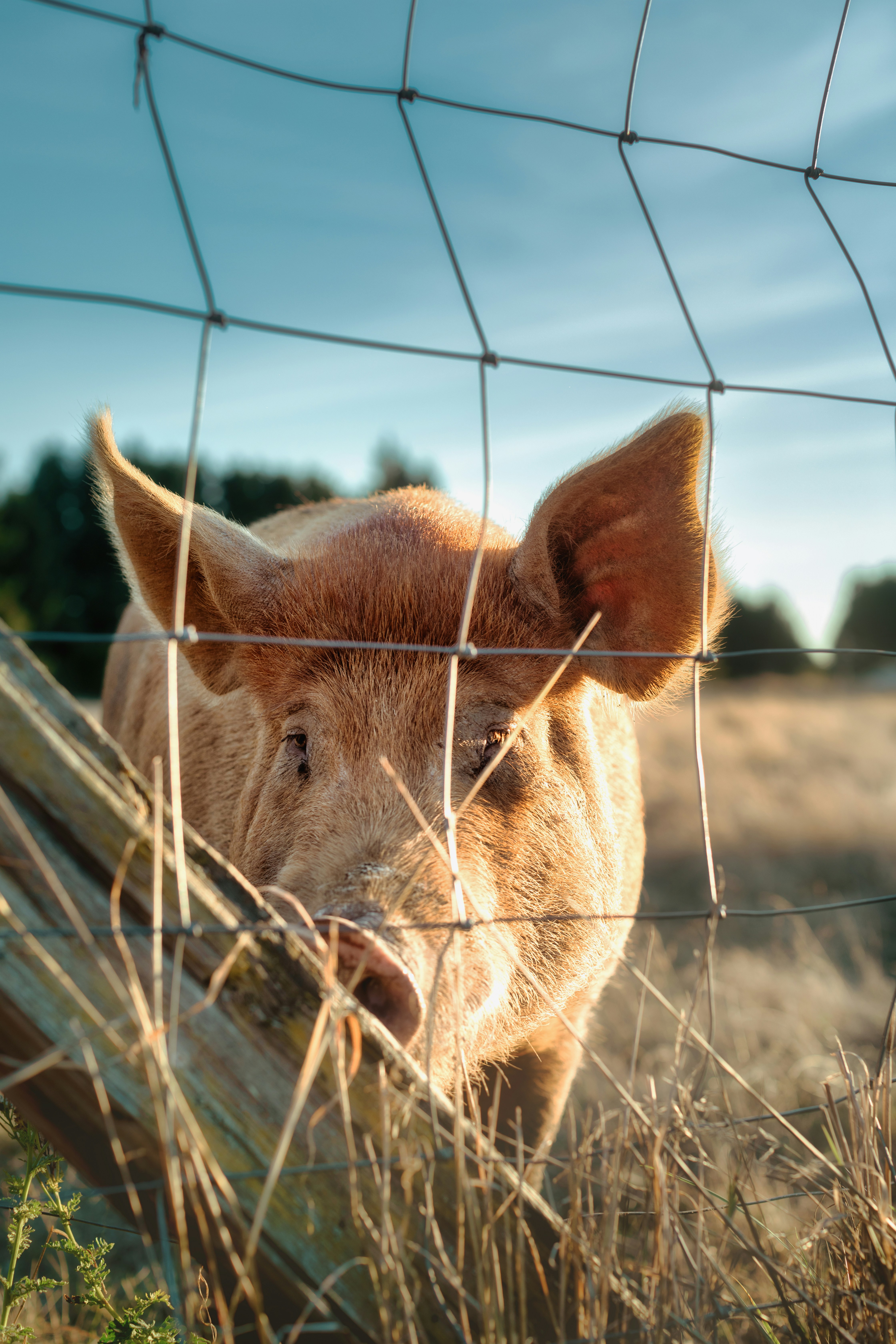 Photo by switchinglanes