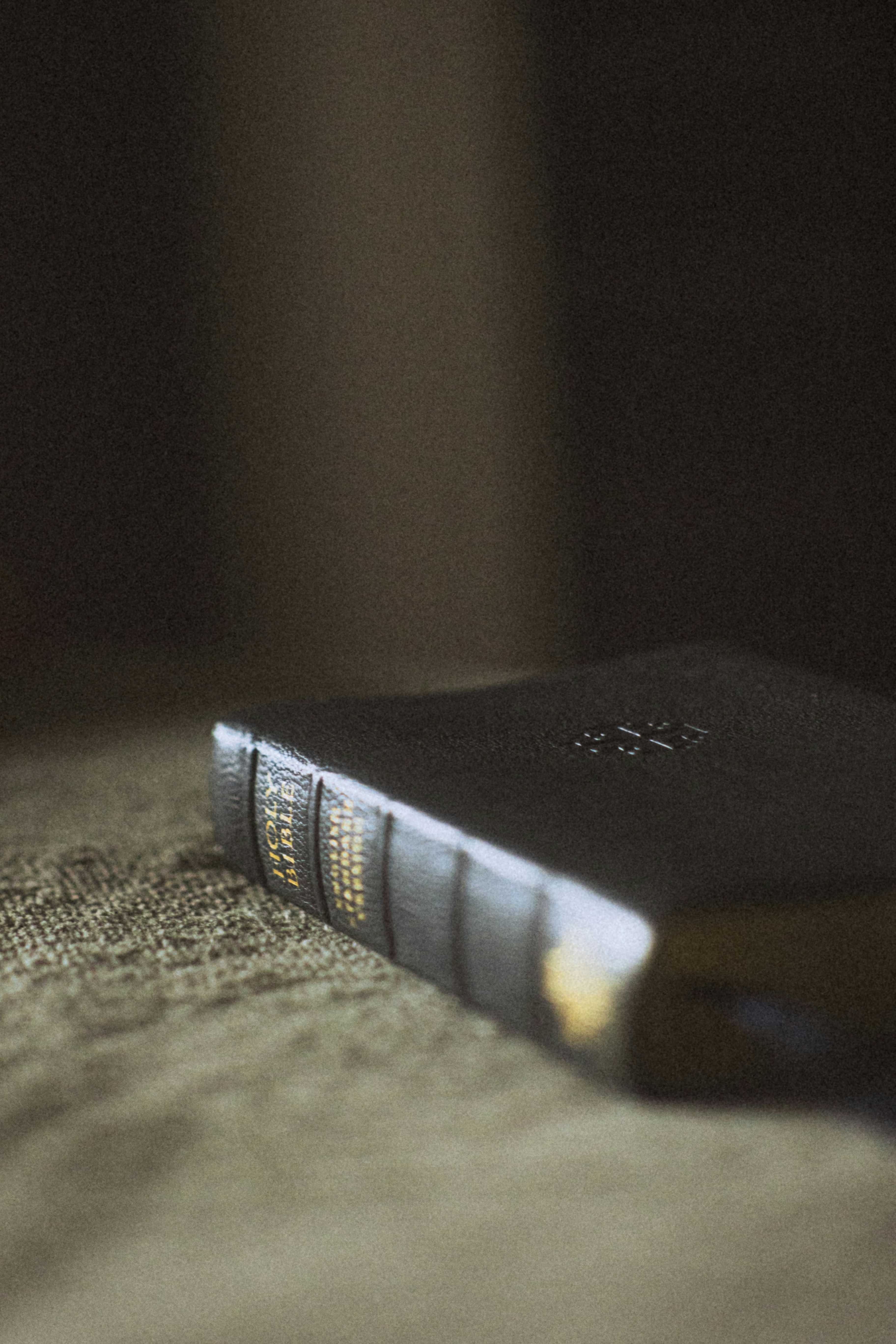 Photo by stephena_photography