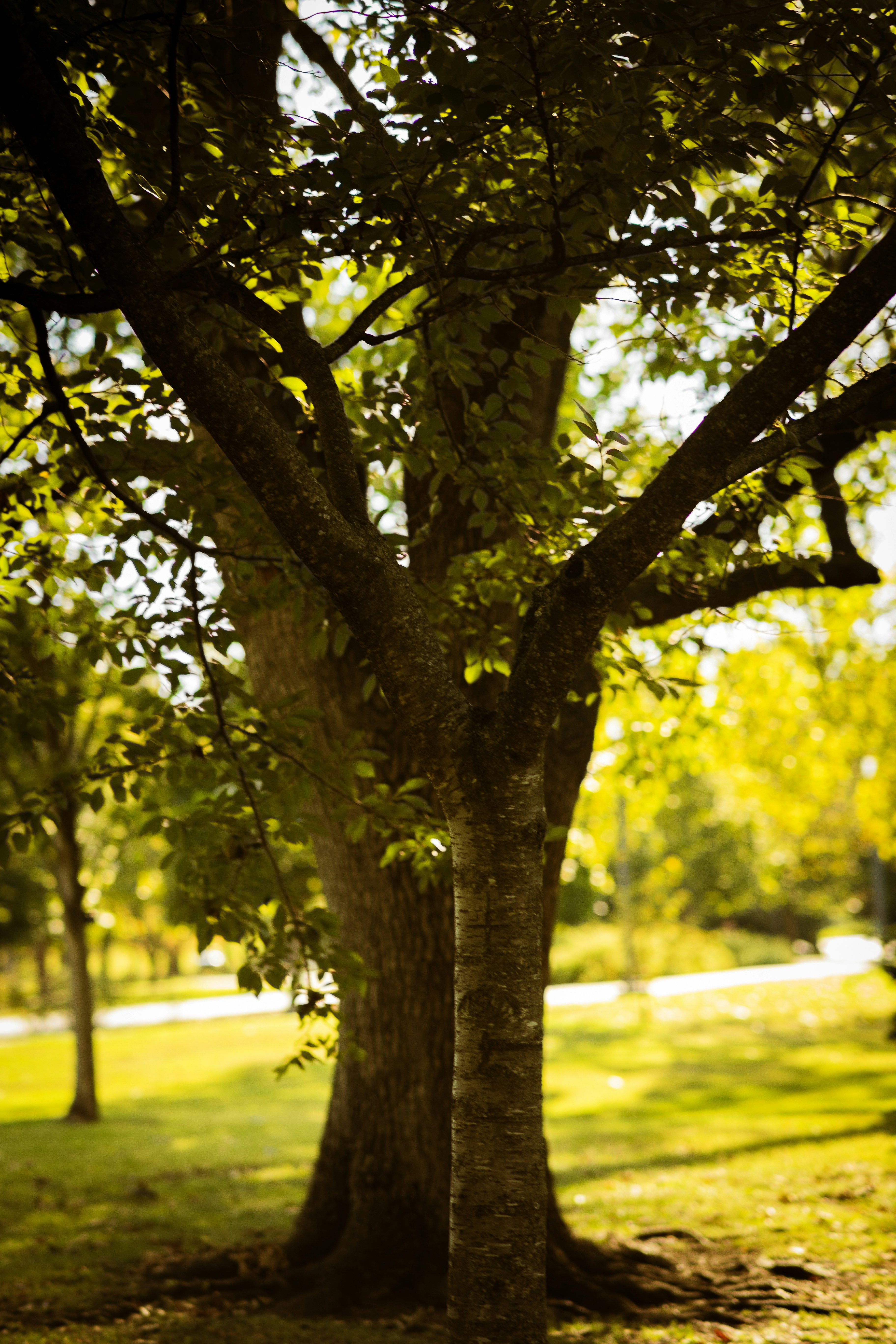 Photo by stephena_photography