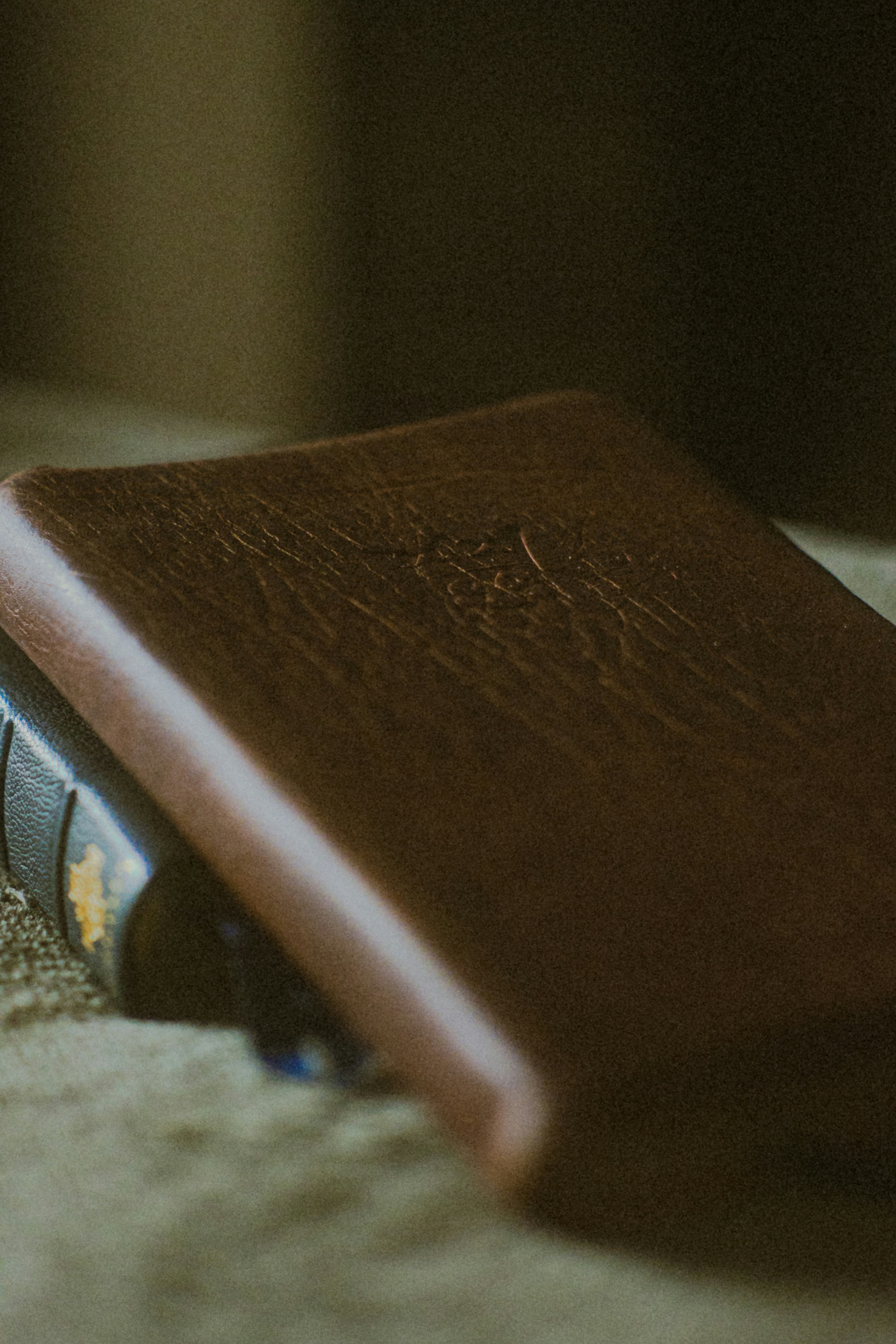 Photo by stephena_photography