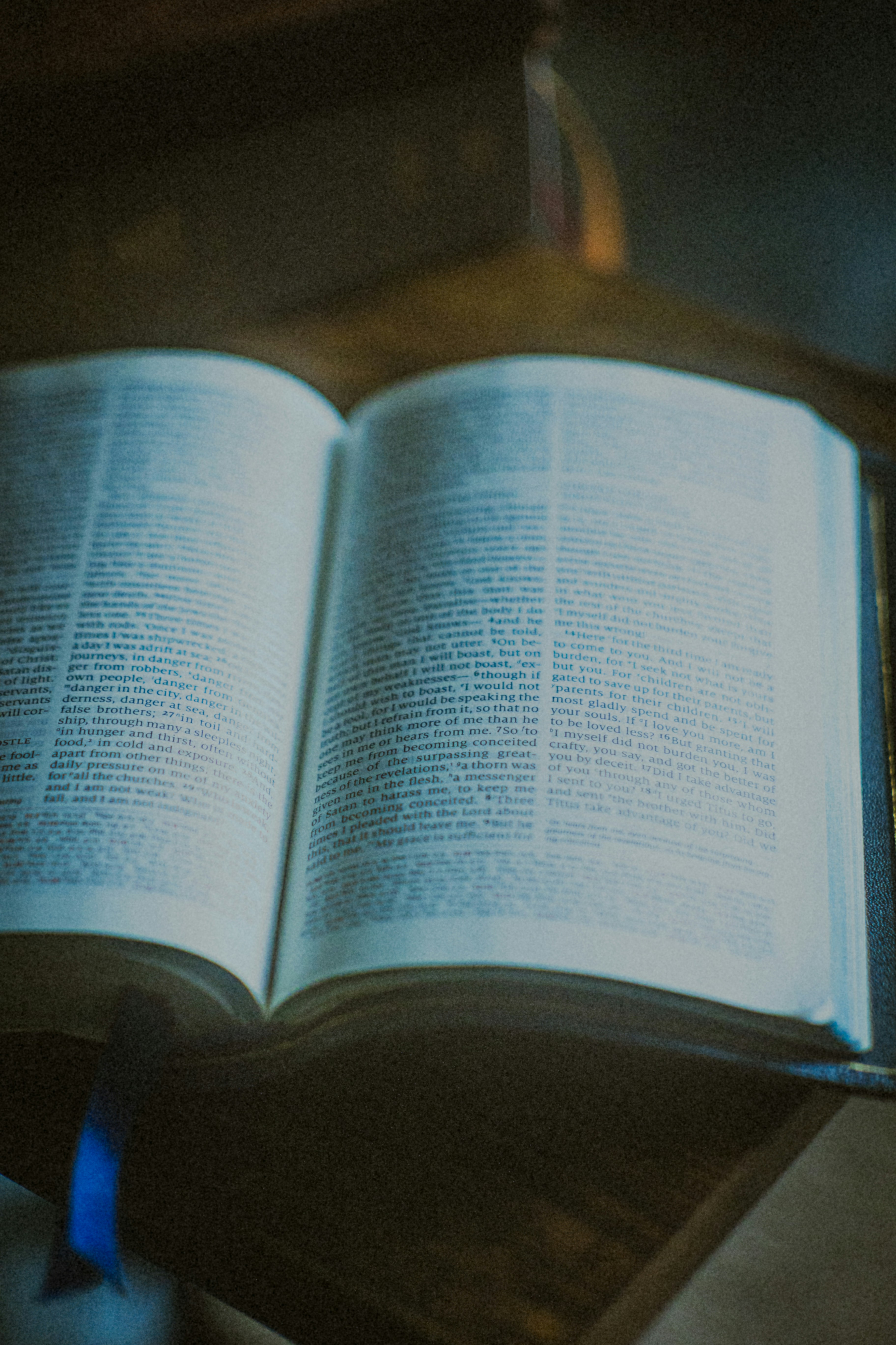 Photo by stephena_photography