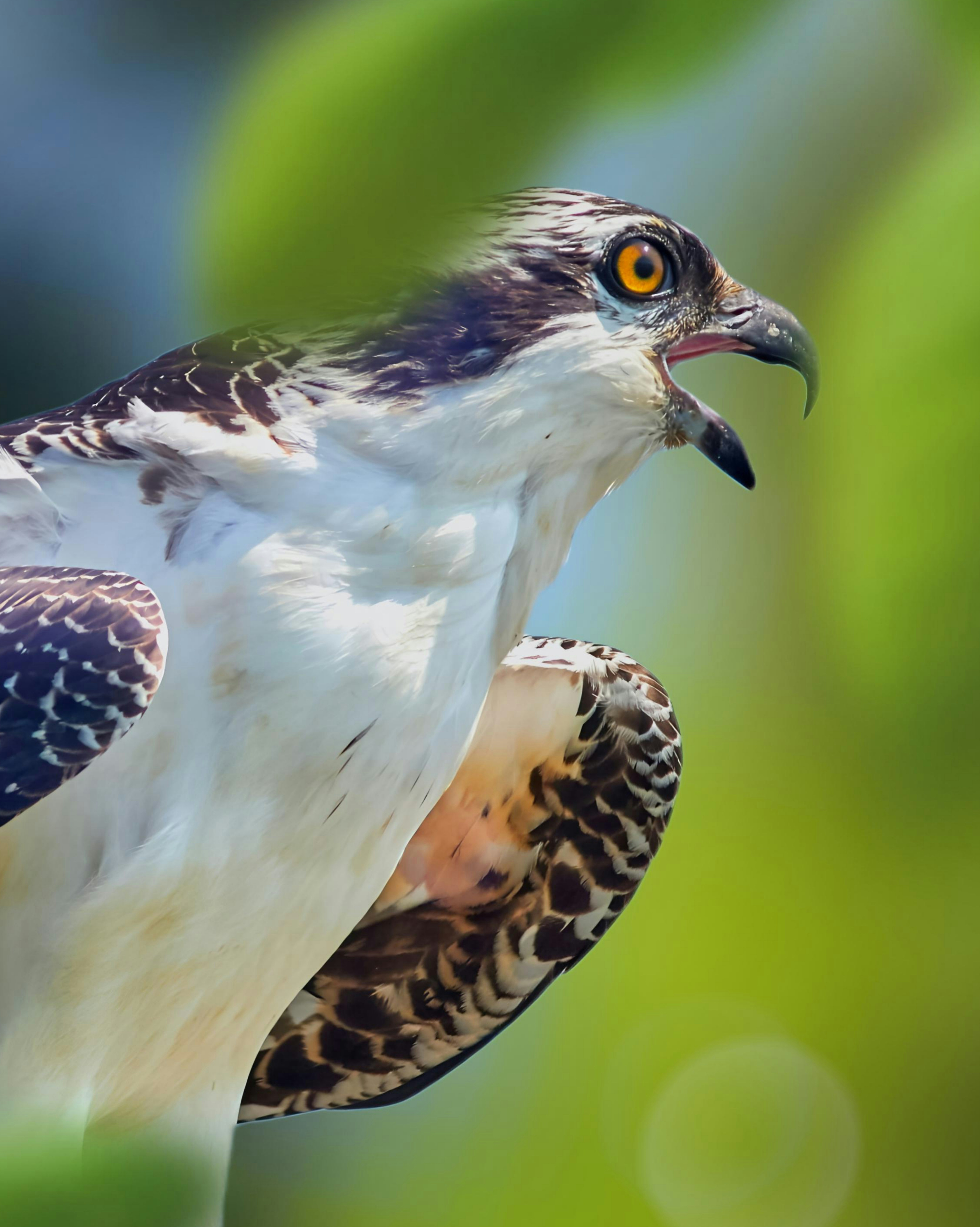 Photo by rudiirwanto