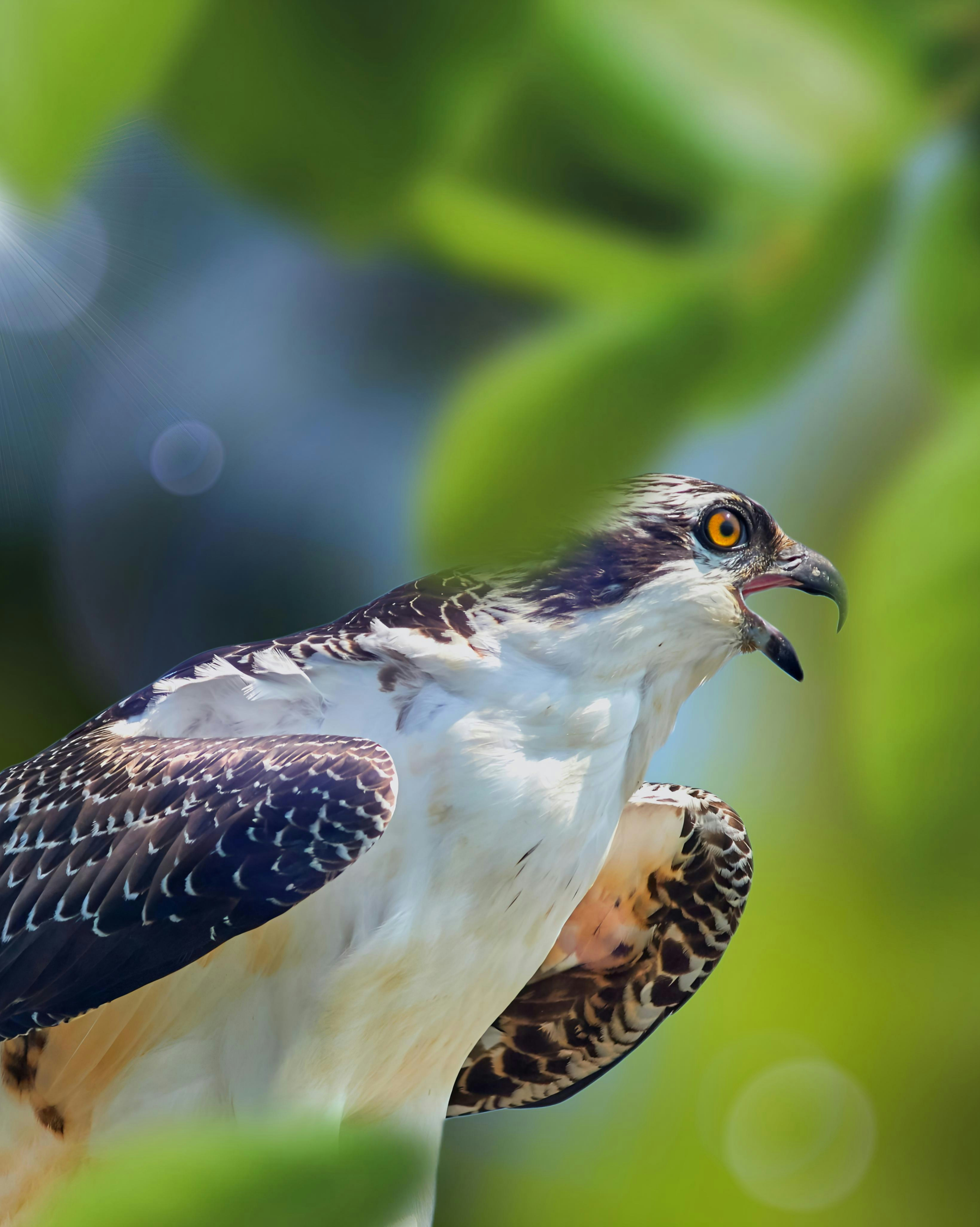 Photo by rudiirwanto