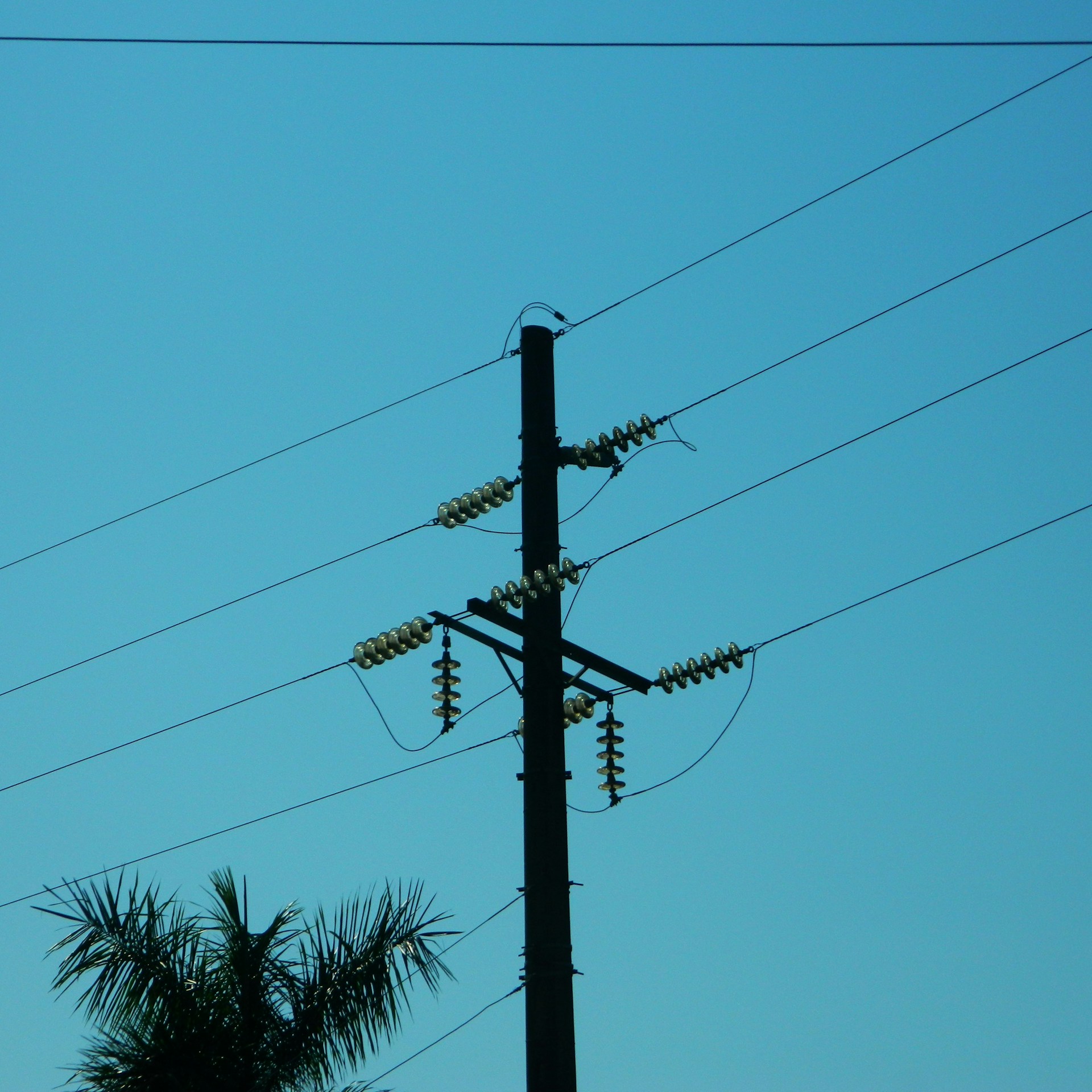 A telephone pole with a bird sitting on top of it
