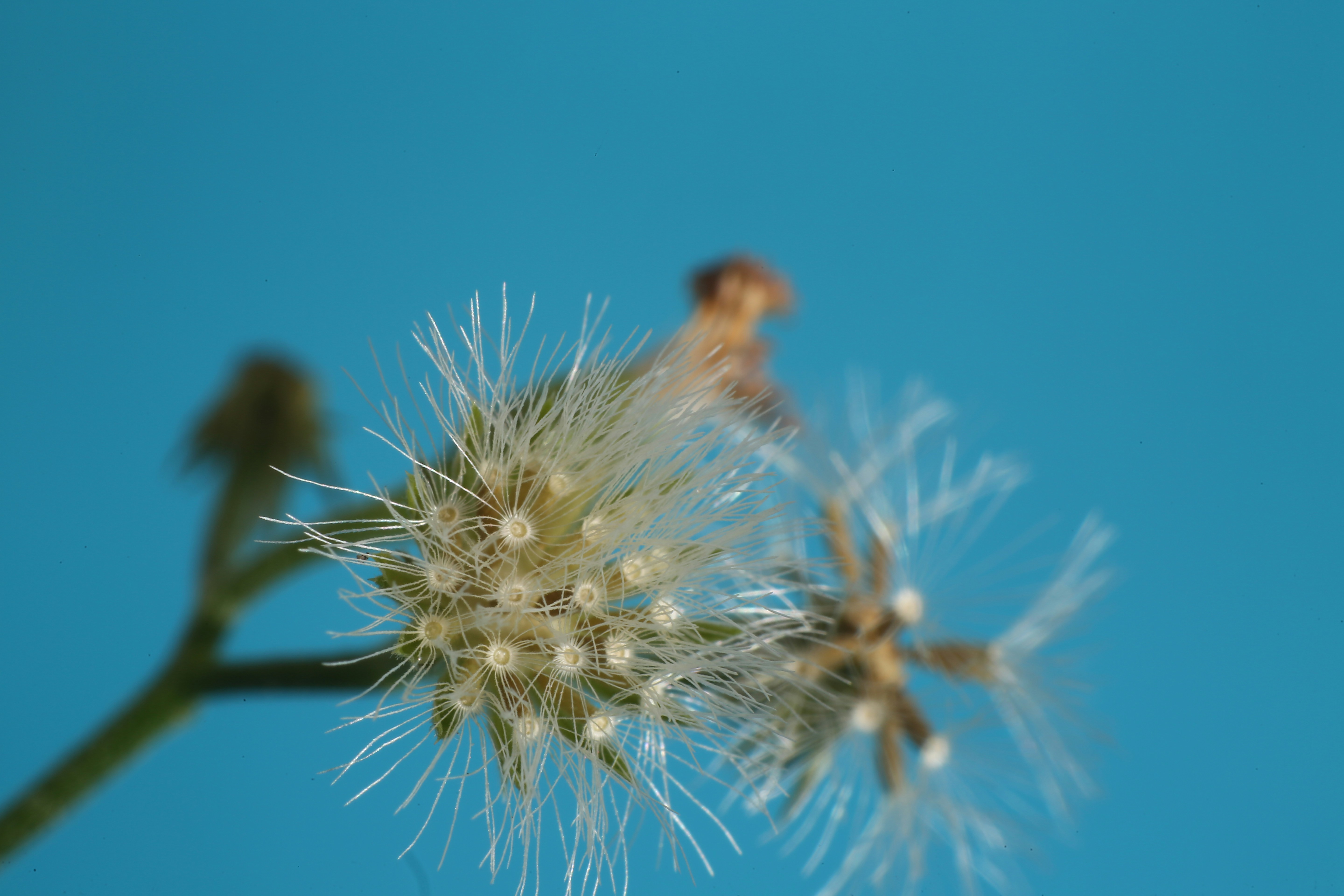 Photo by selipar_jepon