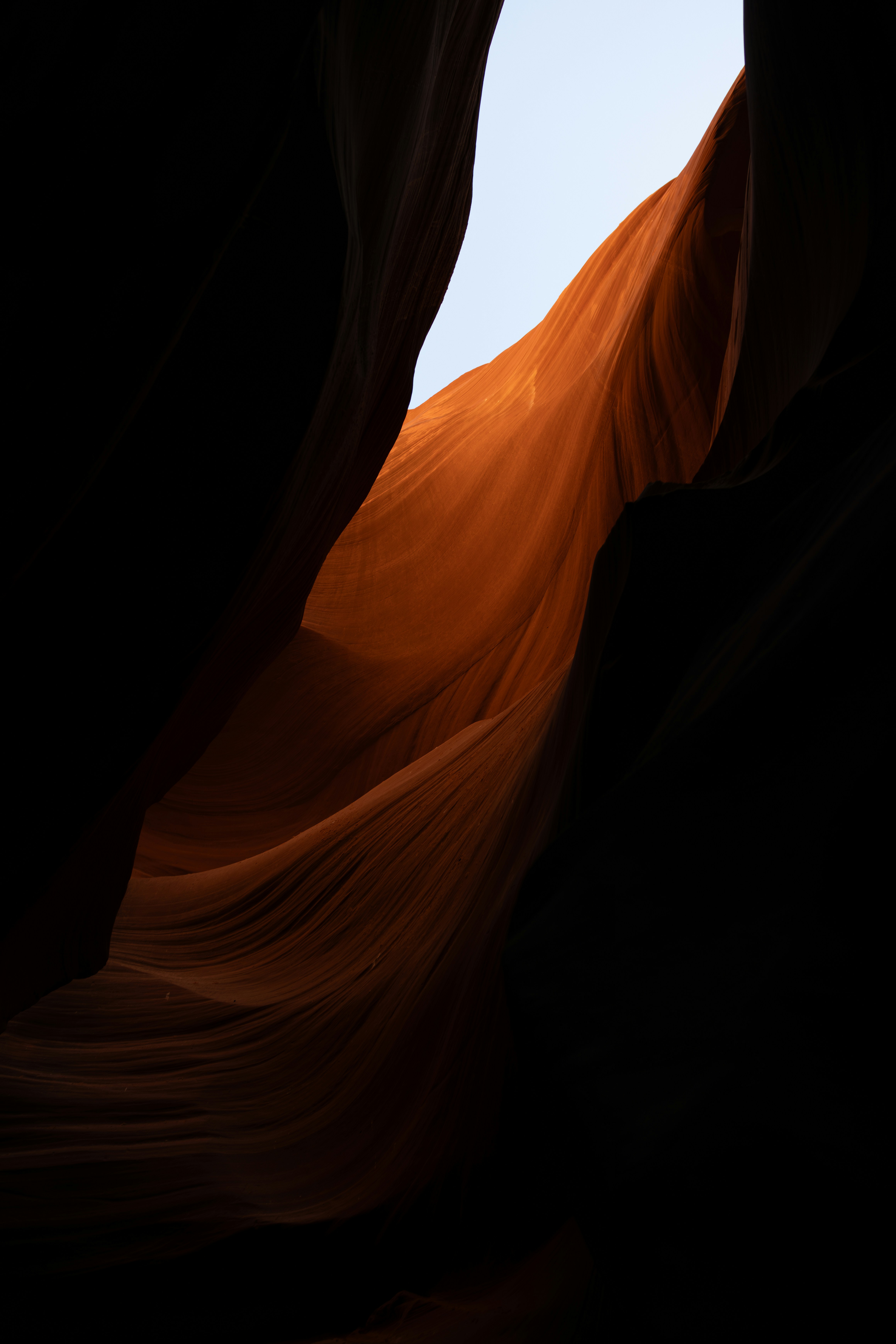 Photo by shaquillecampbell