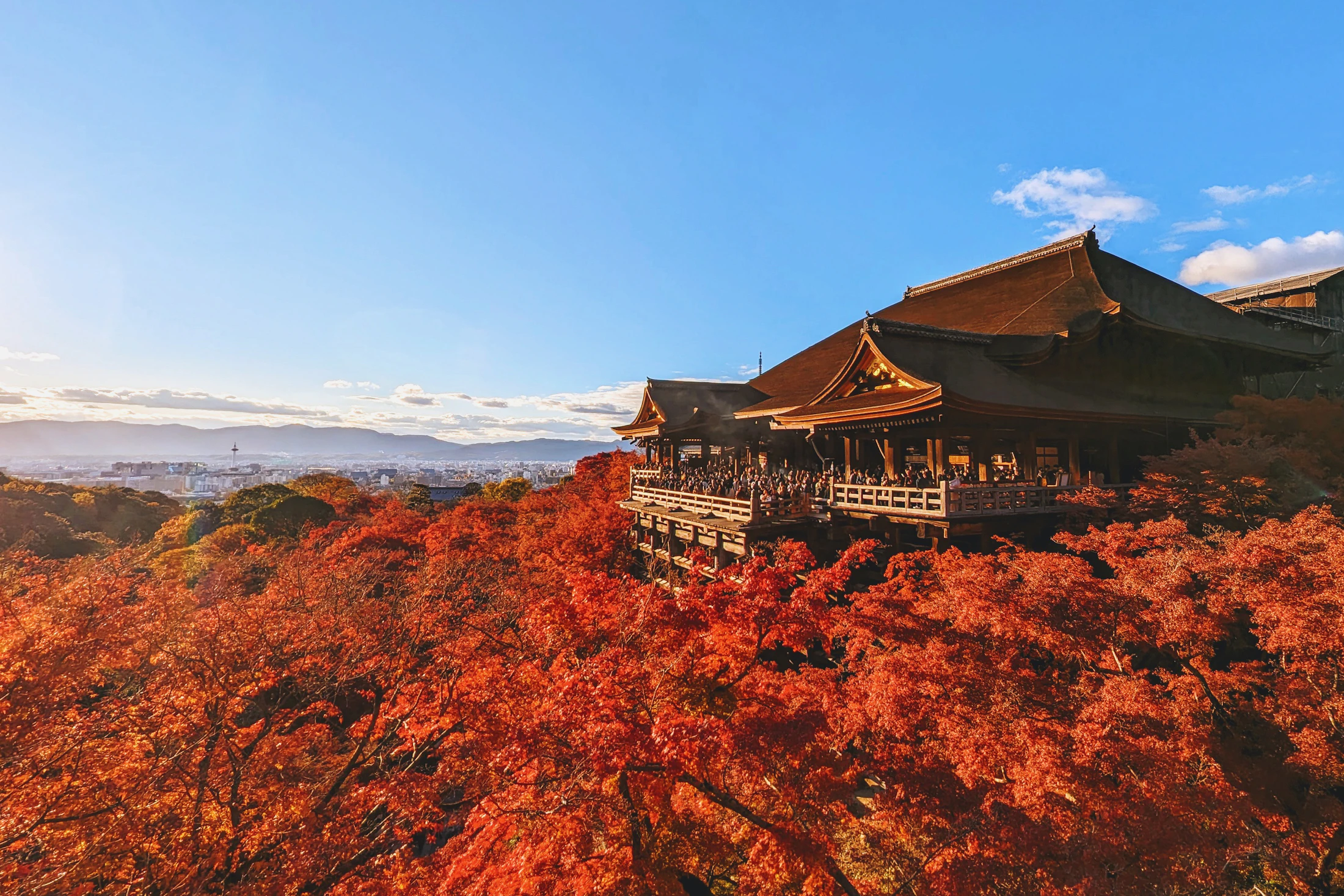 Kiyomizu-dera's wooden stage above a hillside of red autumn maples