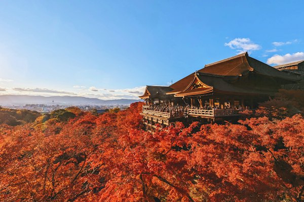 A view of a building in the middle of a forest — Kyoto, Japan
