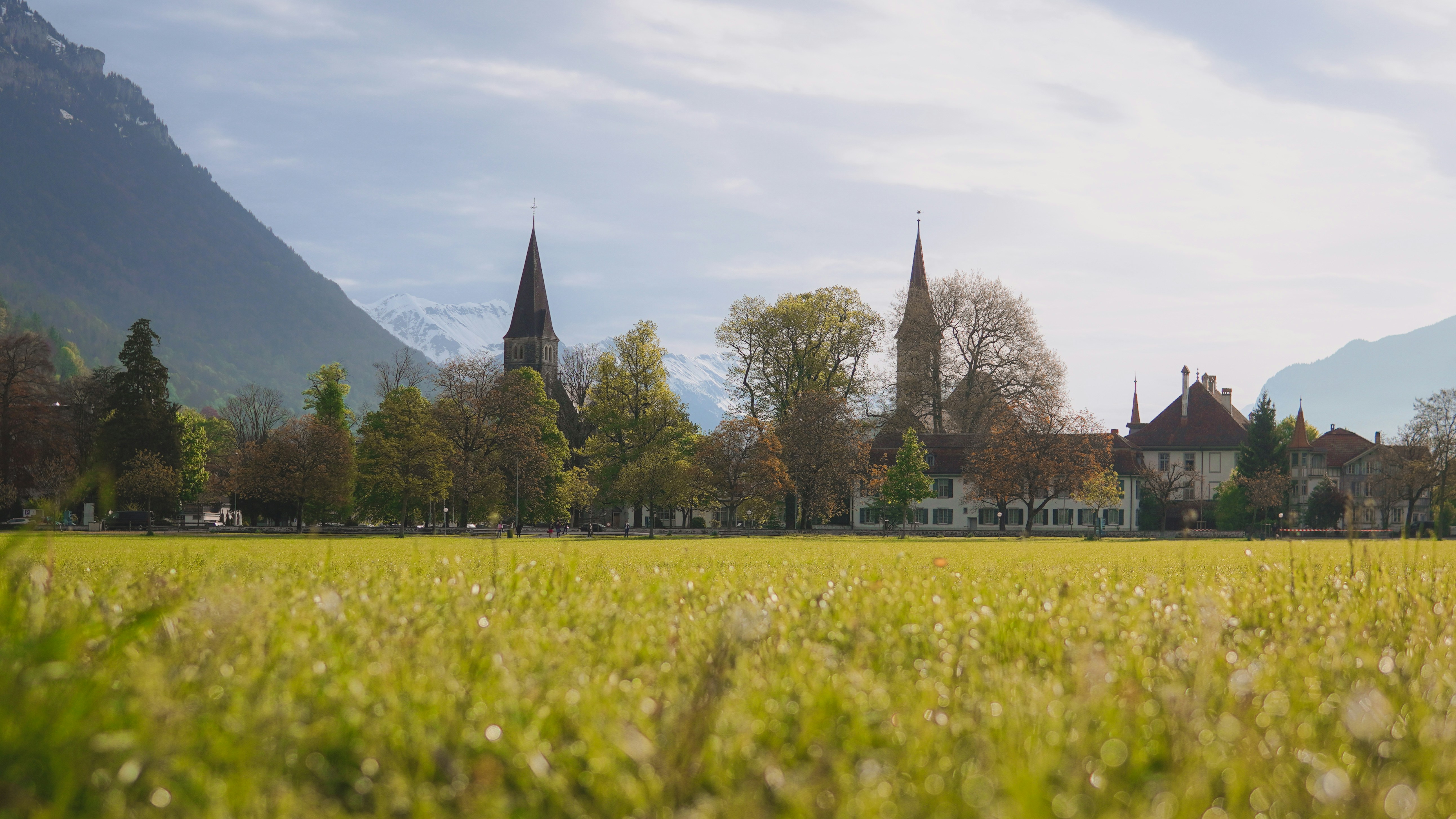 Un champ herbeux avec une église en arrière-plan