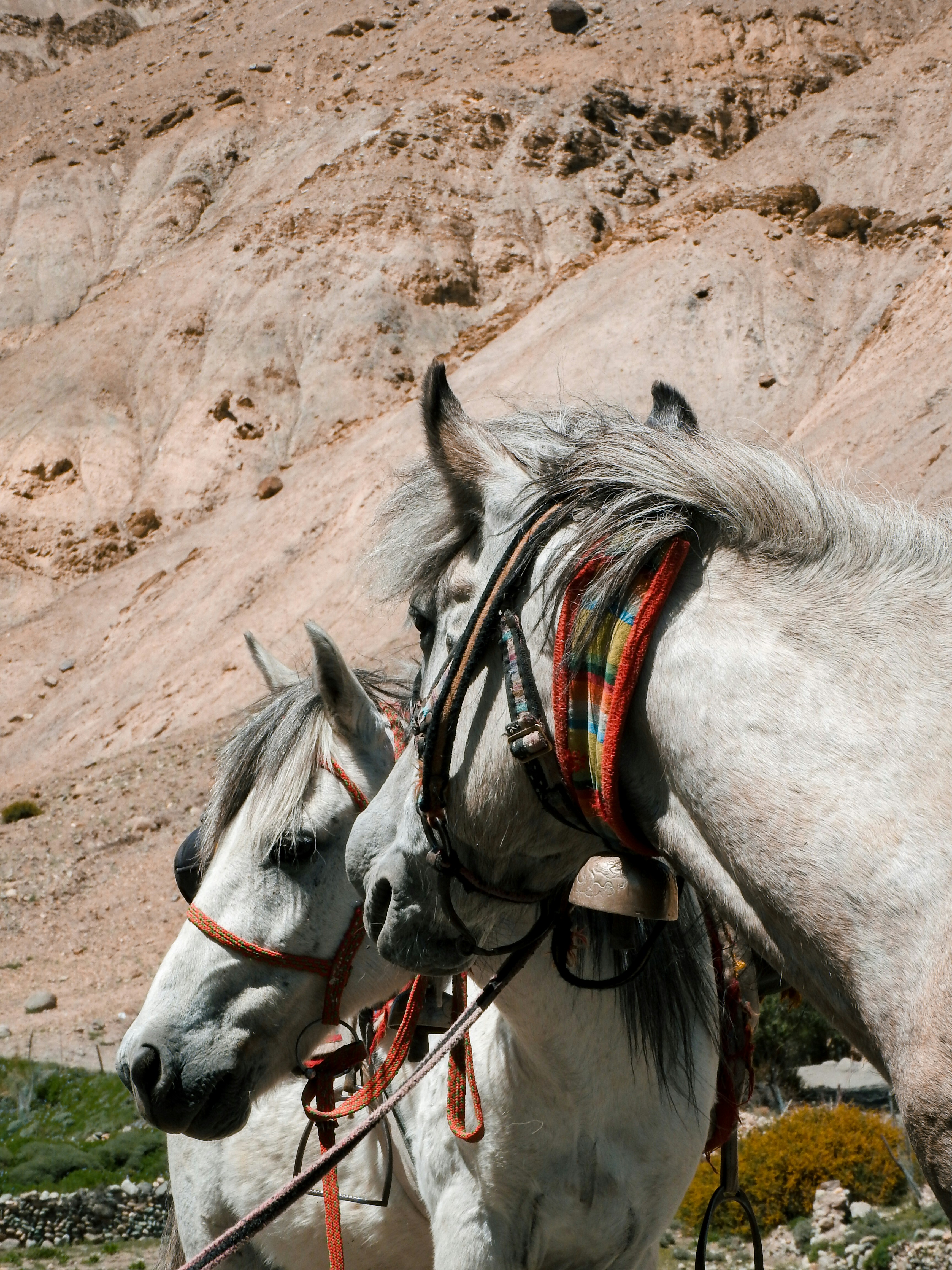 Photo by tomokiiwata